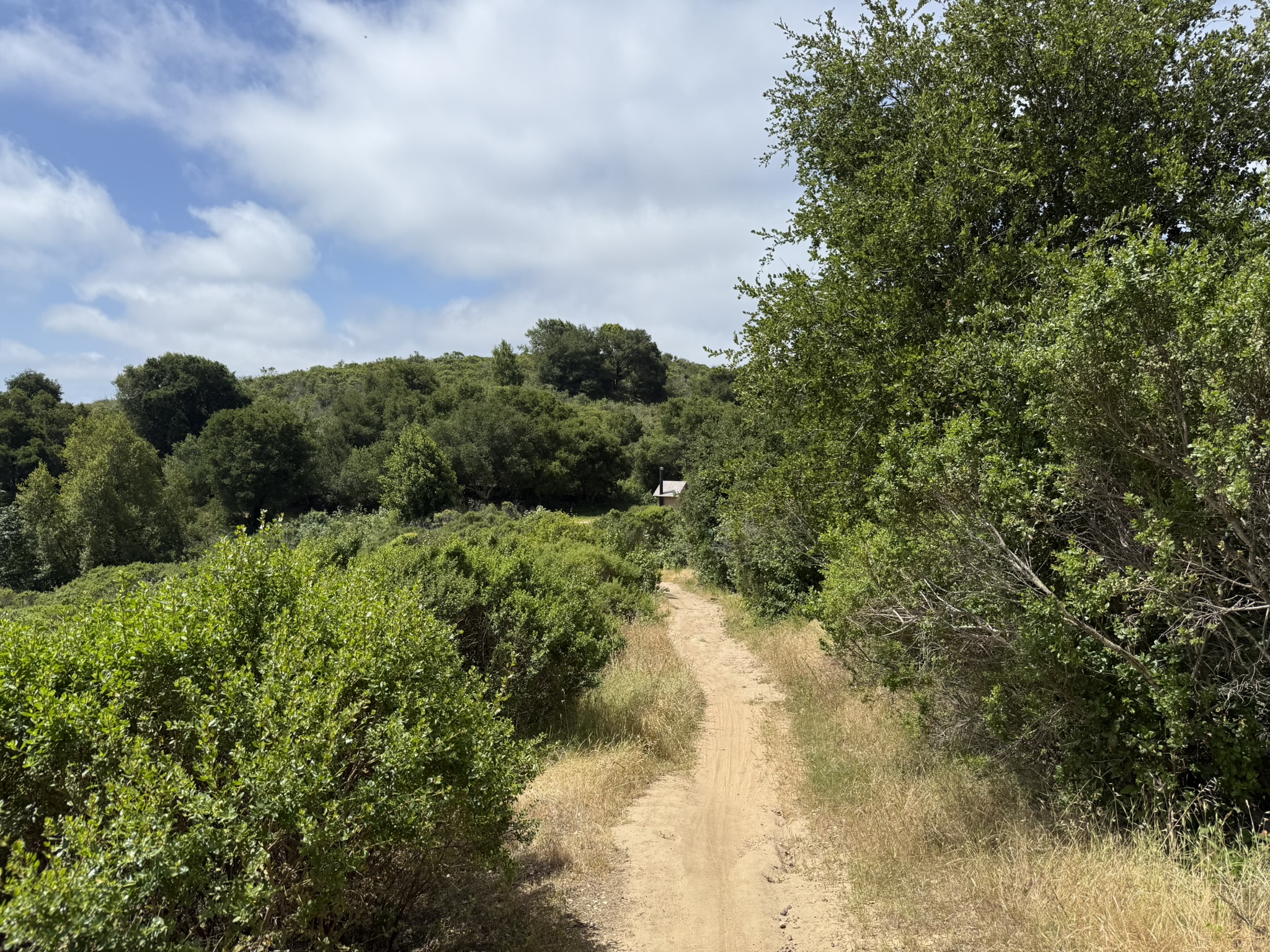 Anthony Chabot Regional Park East