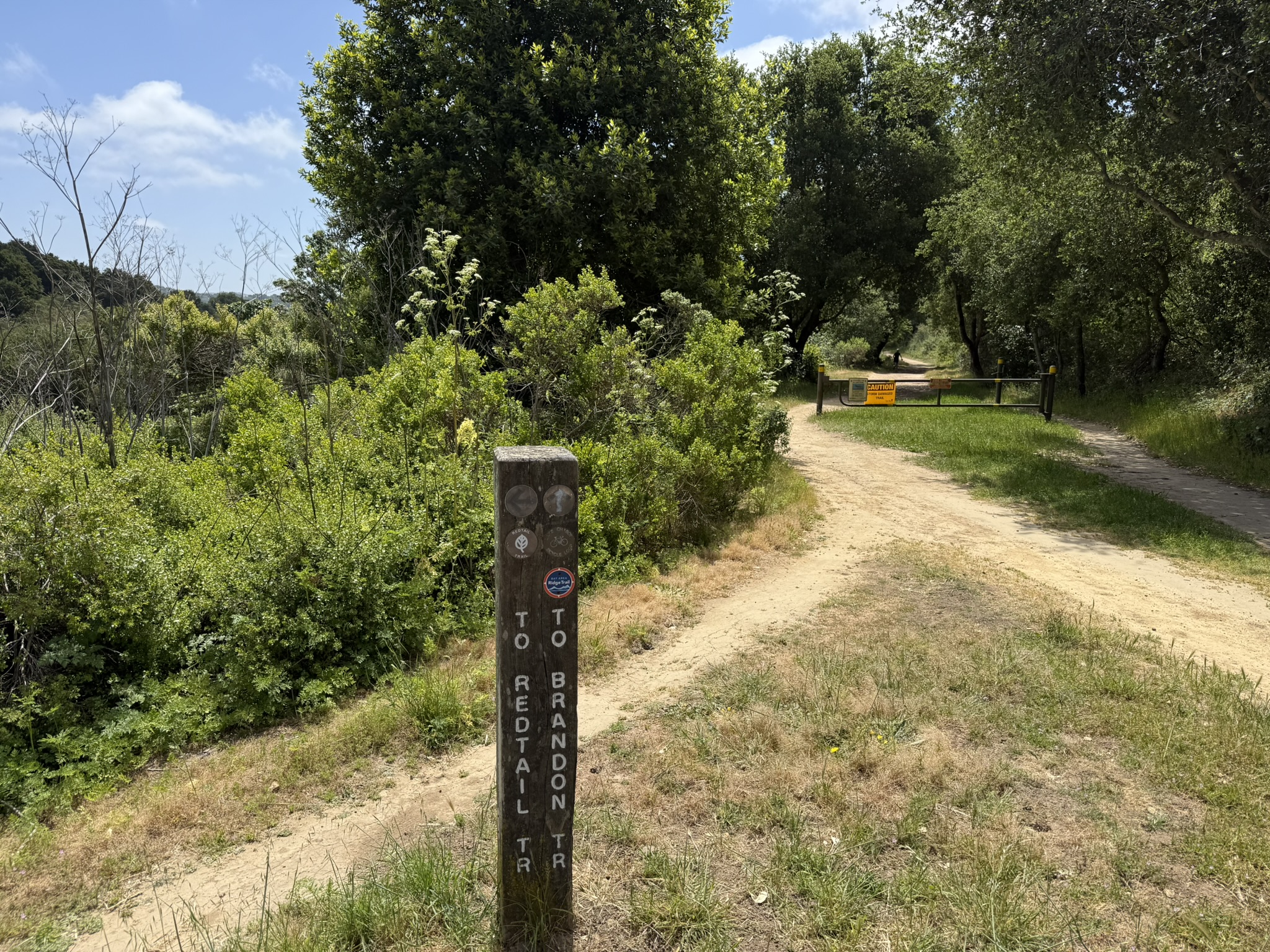 Anthony Chabot Regional Park East
