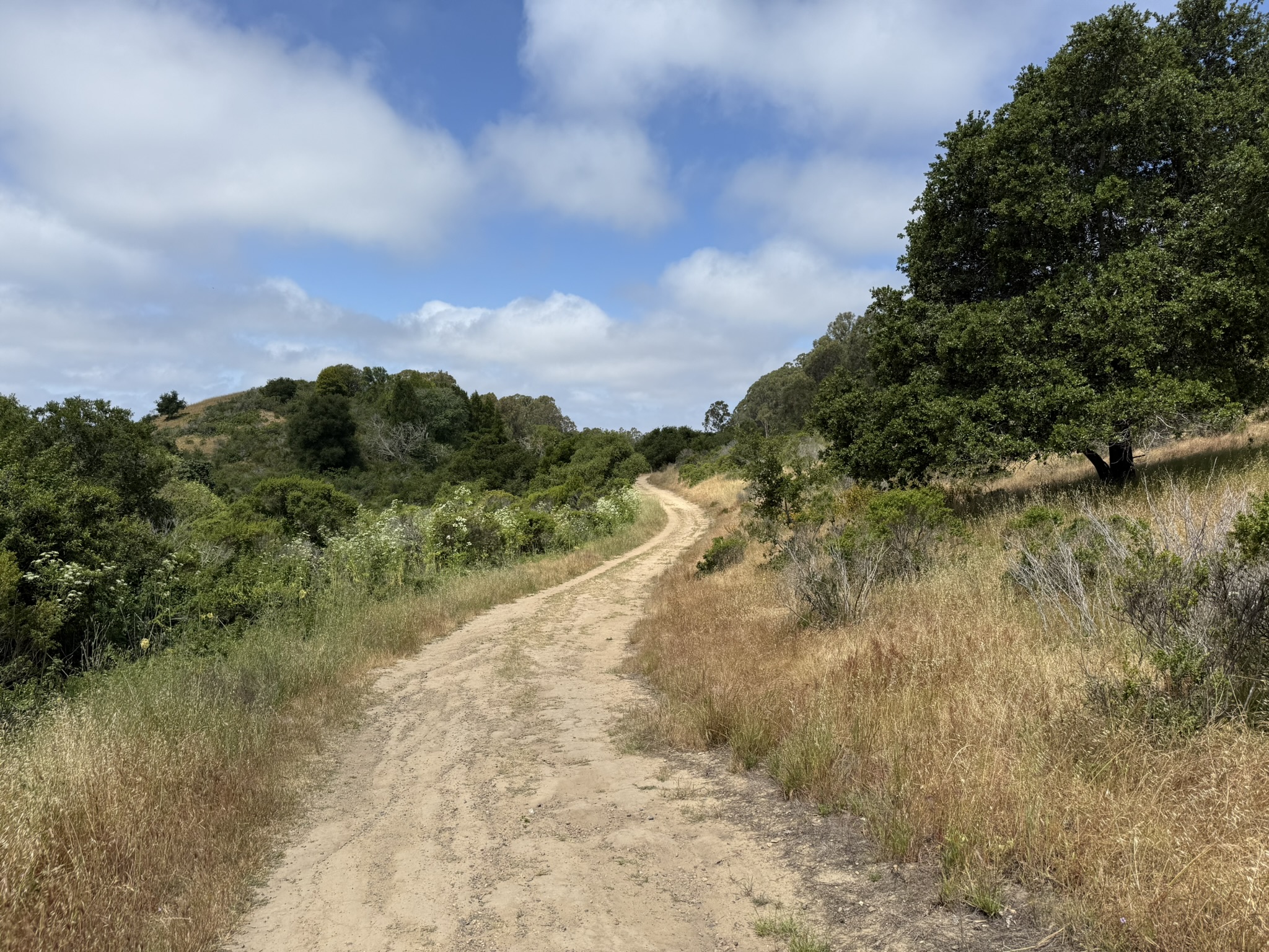 Anthony Chabot Regional Park East