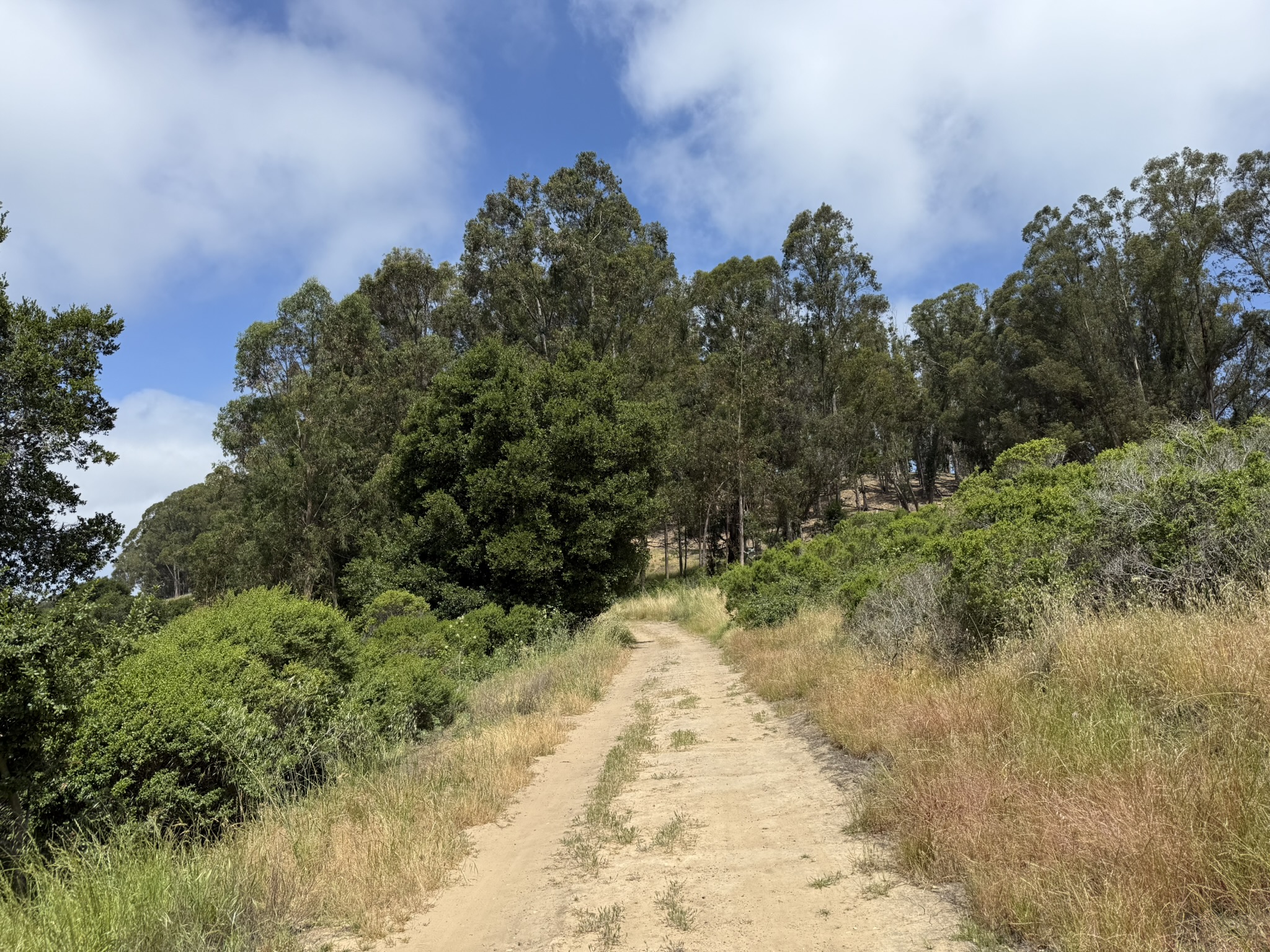 Anthony Chabot Regional Park East
