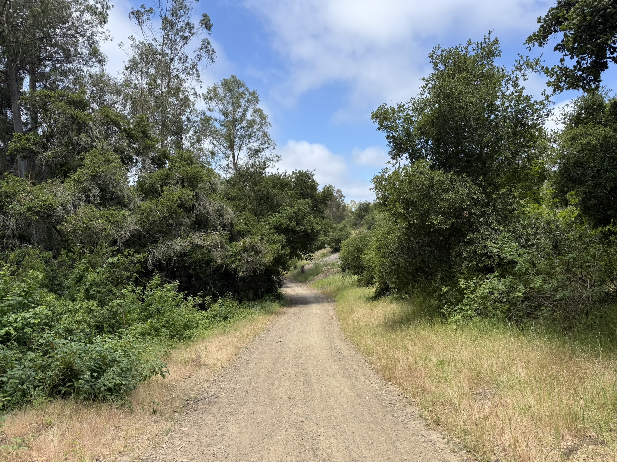 Anthony Chabot Regional Park East