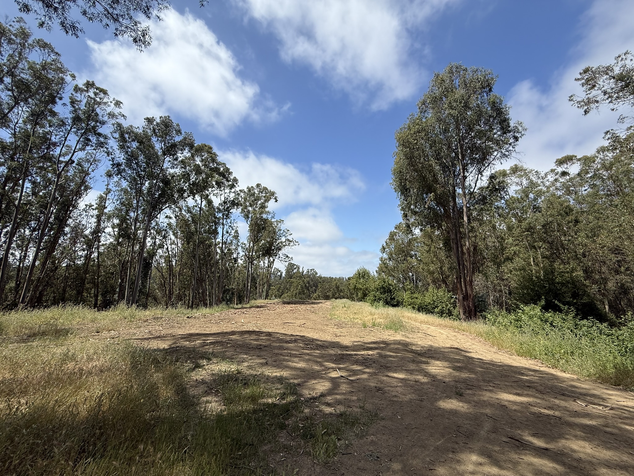 Anthony Chabot Regional Park East