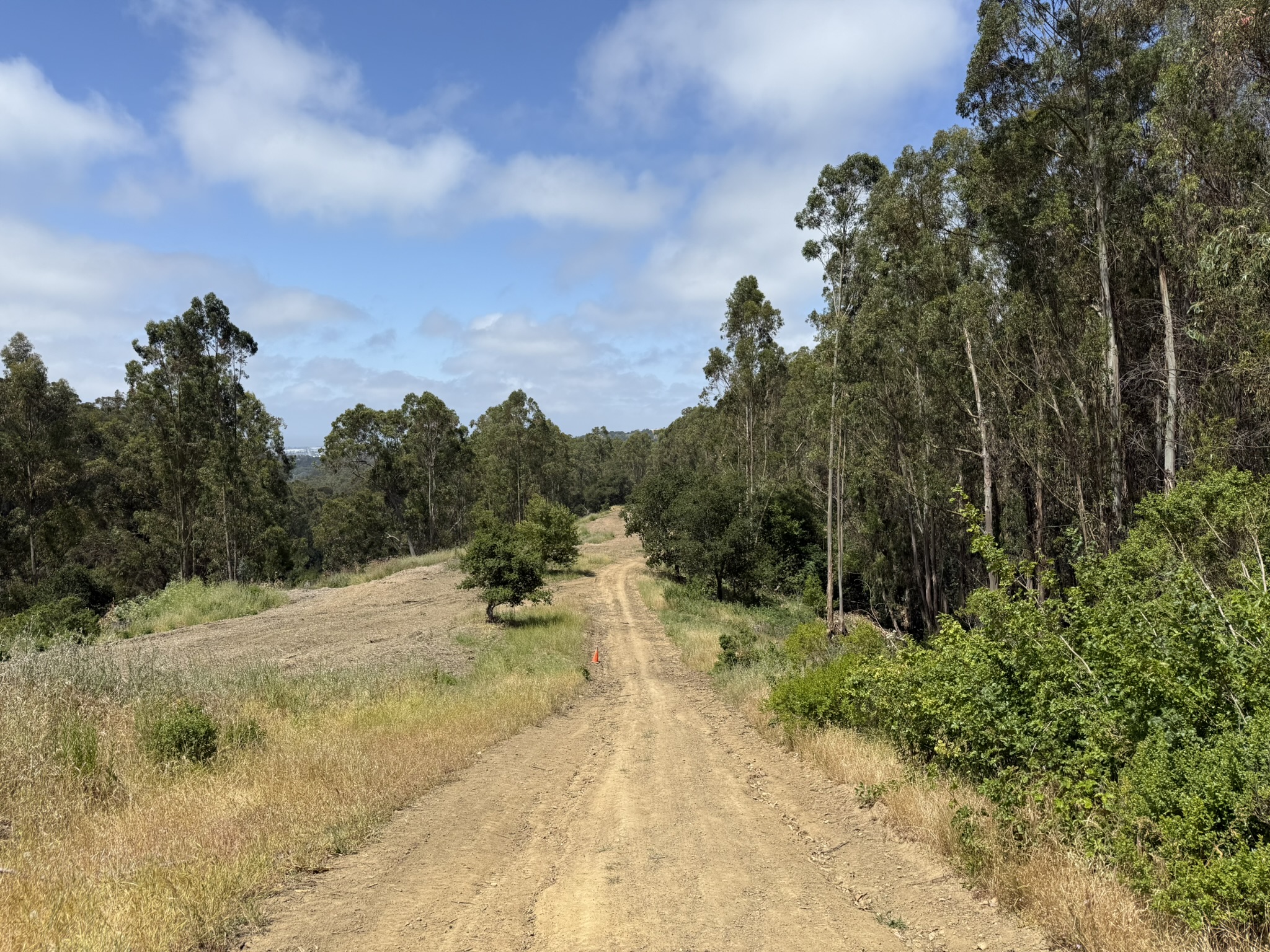 Anthony Chabot Regional Park East