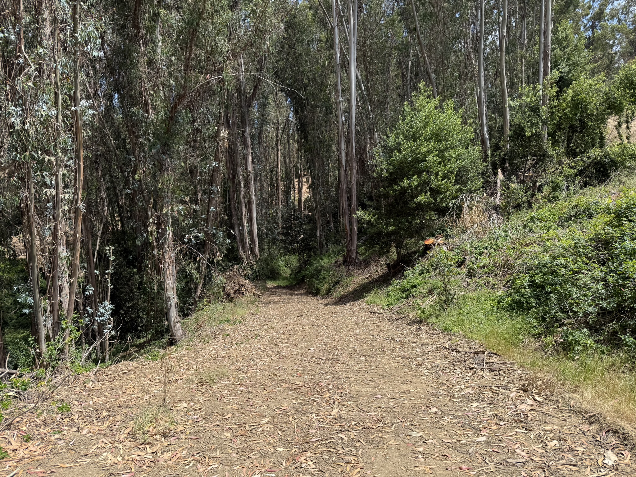 Anthony Chabot Regional Park East