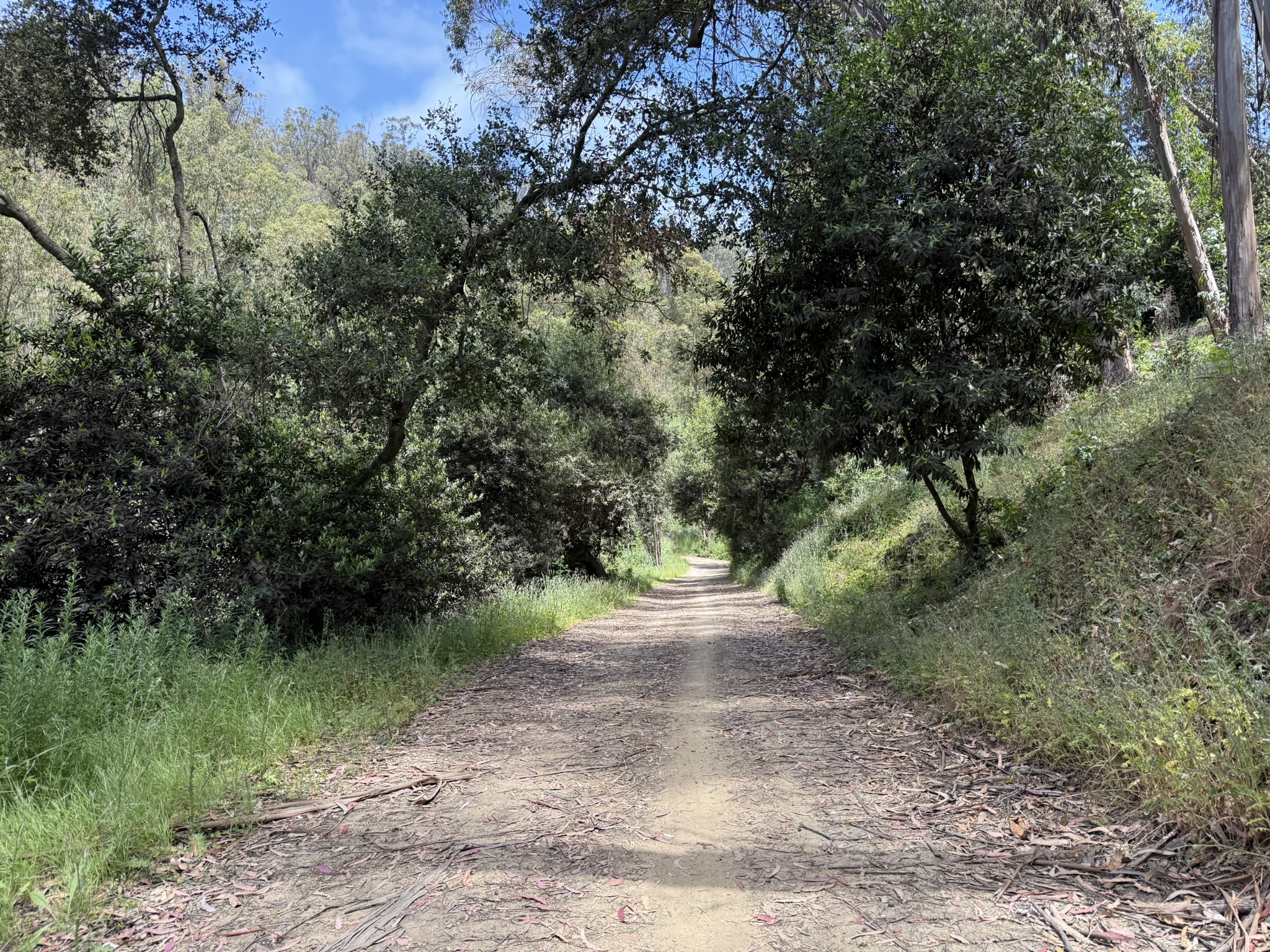 Anthony Chabot Regional Park East