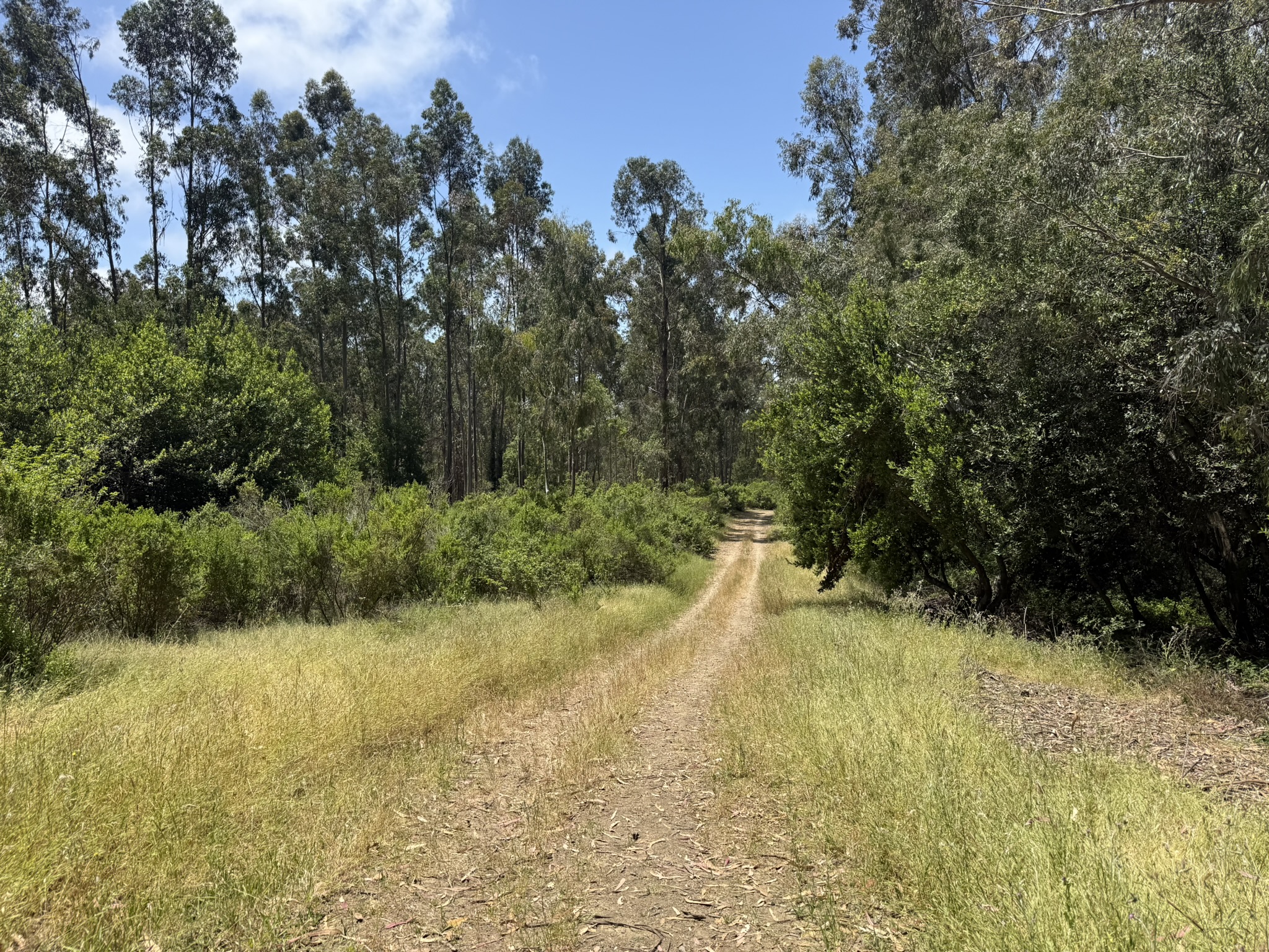 Anthony Chabot Regional Park East