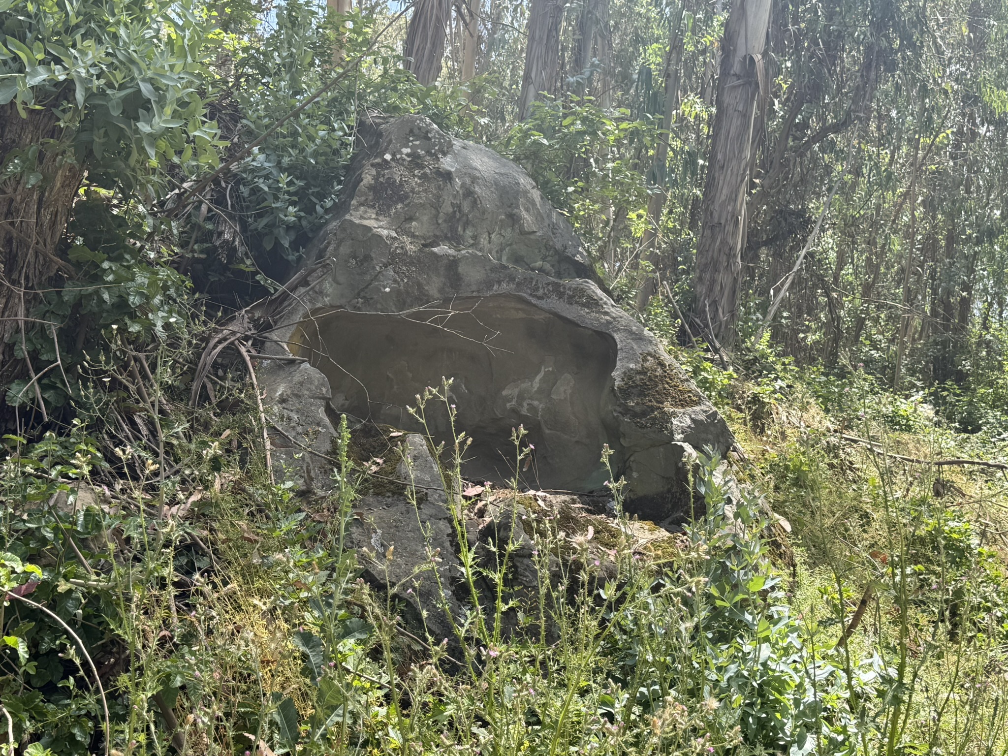 Anthony Chabot Regional Park East