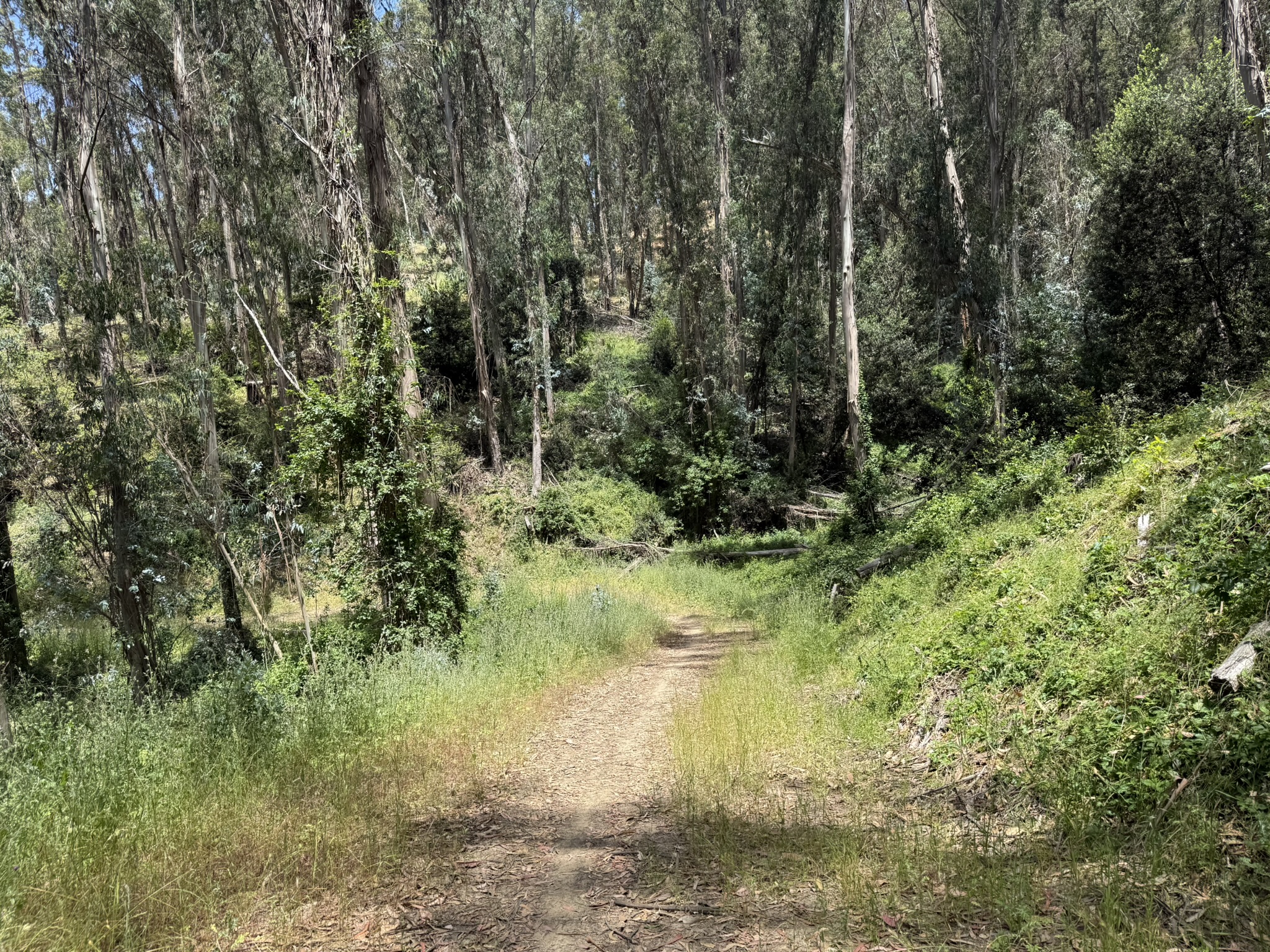 Anthony Chabot Regional Park East