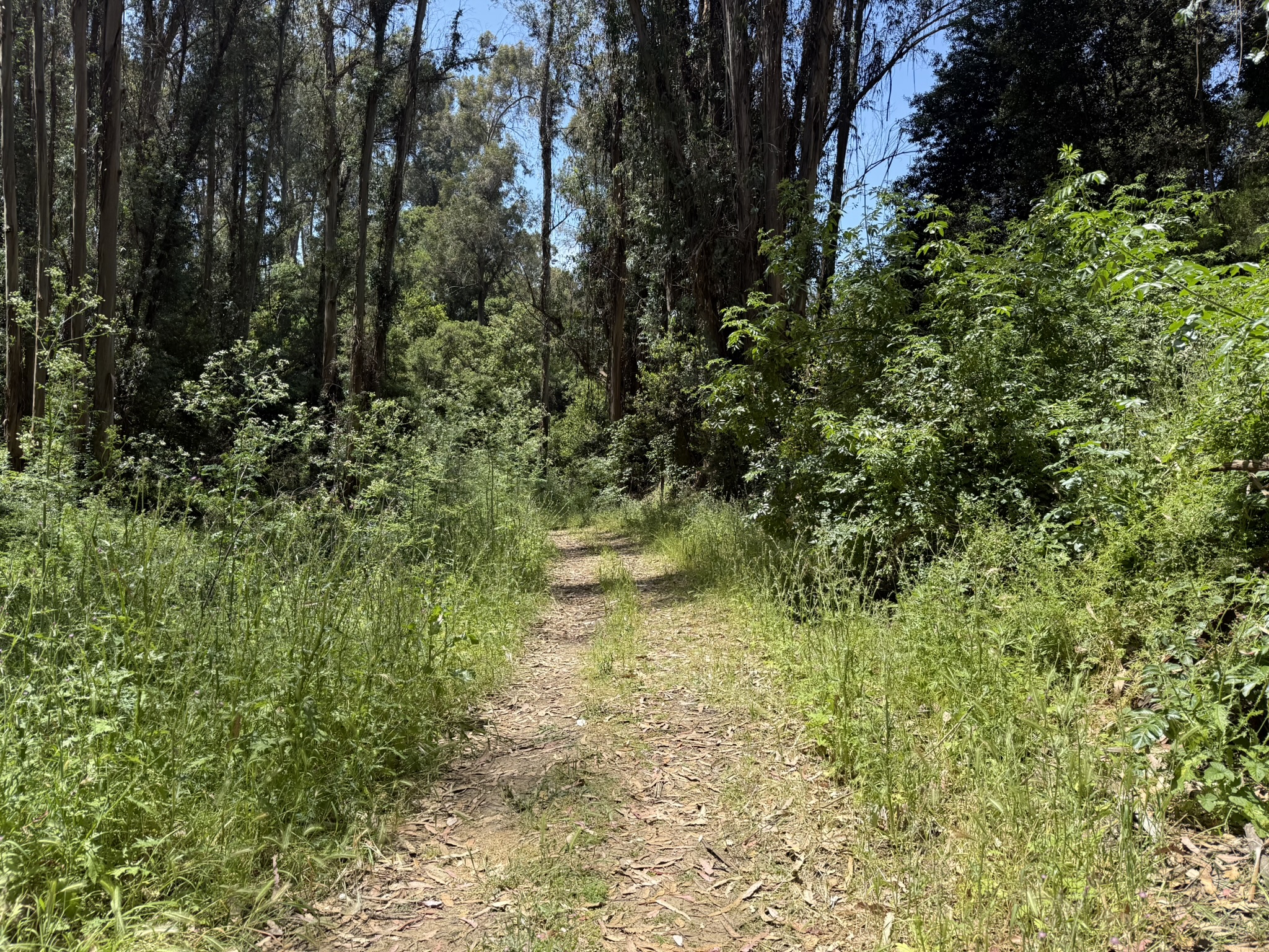 Anthony Chabot Regional Park East
