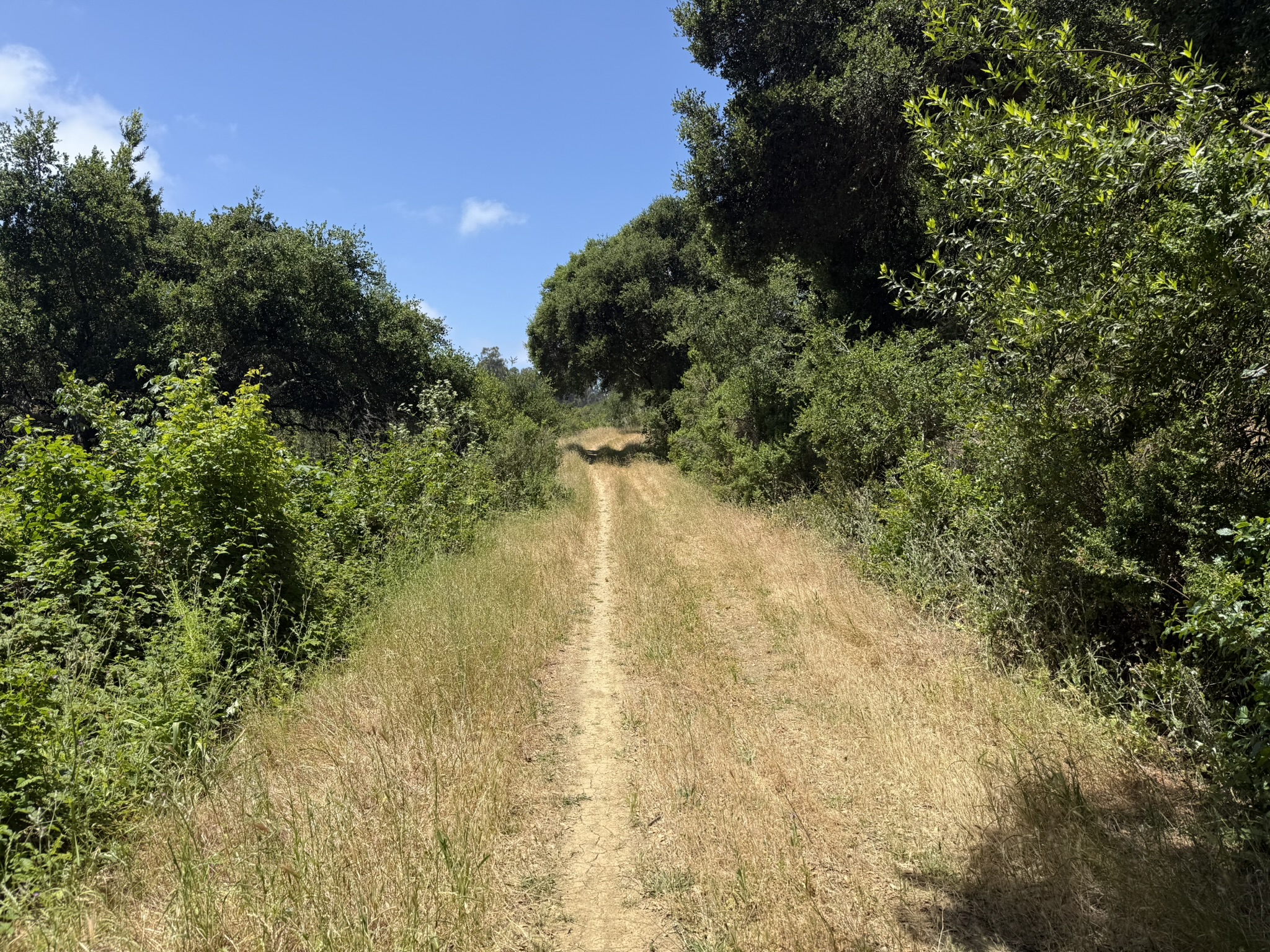 Anthony Chabot Regional Park East