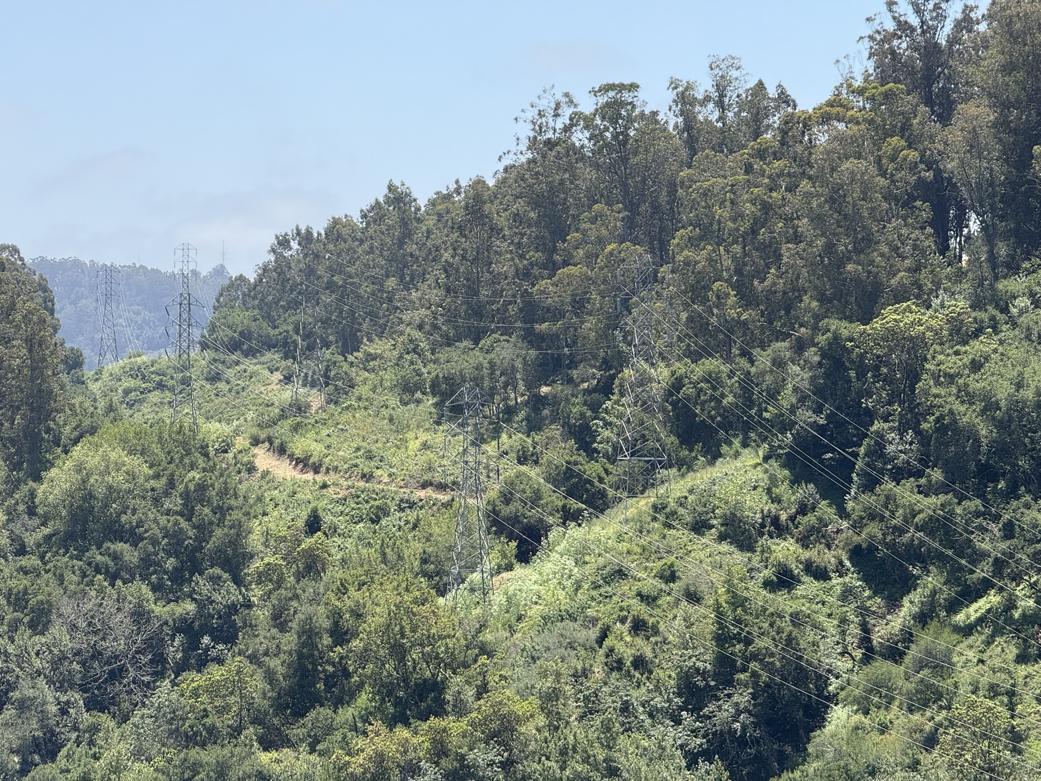 Anthony Chabot Regional Park East