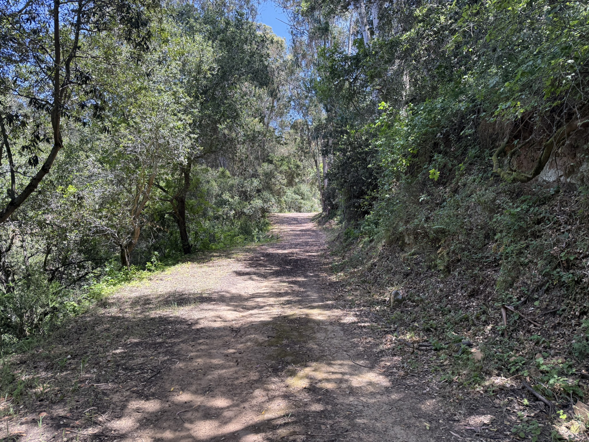 Anthony Chabot Regional Park East