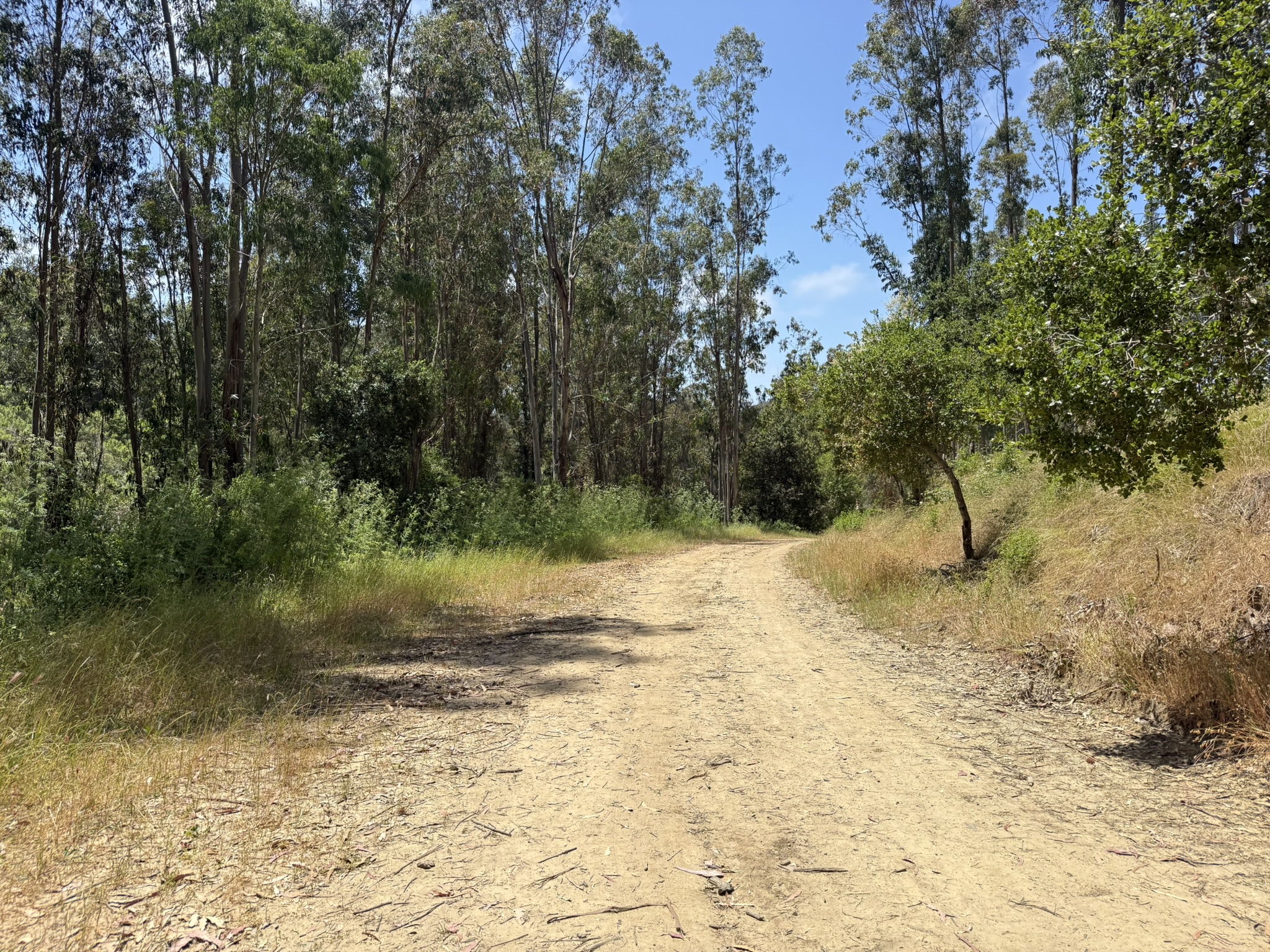 Anthony Chabot Regional Park East