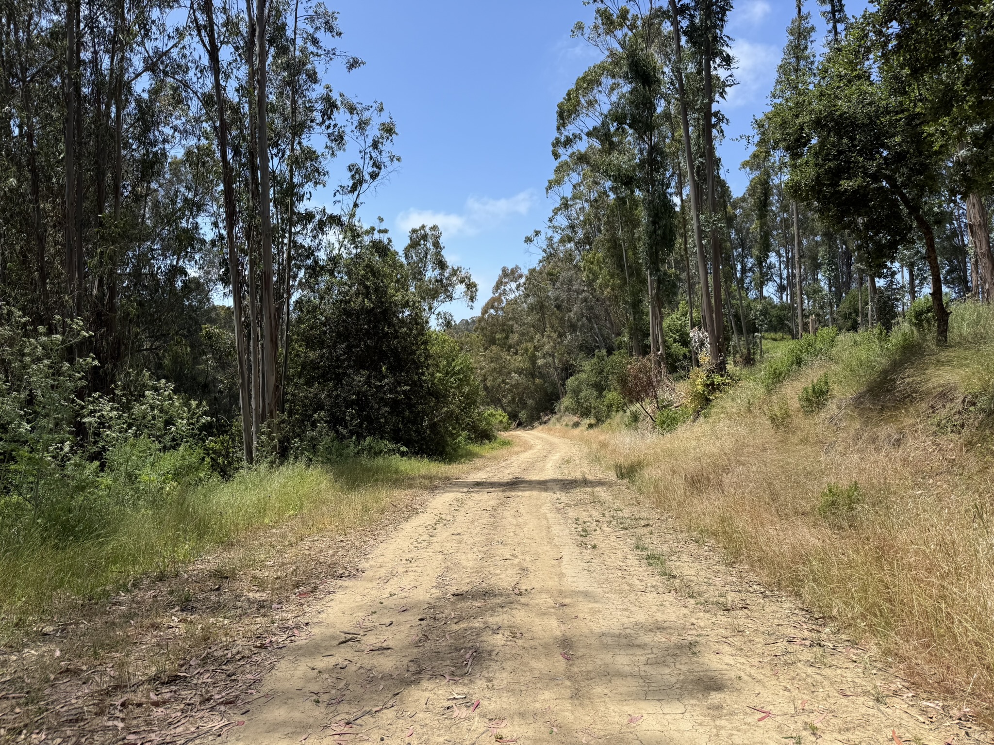 Anthony Chabot Regional Park East