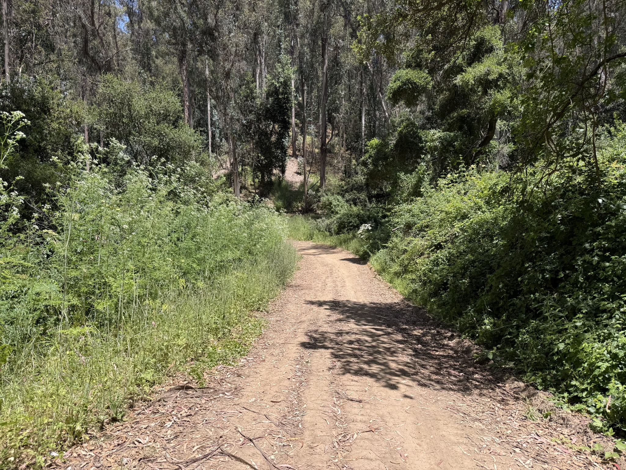 Anthony Chabot Regional Park East