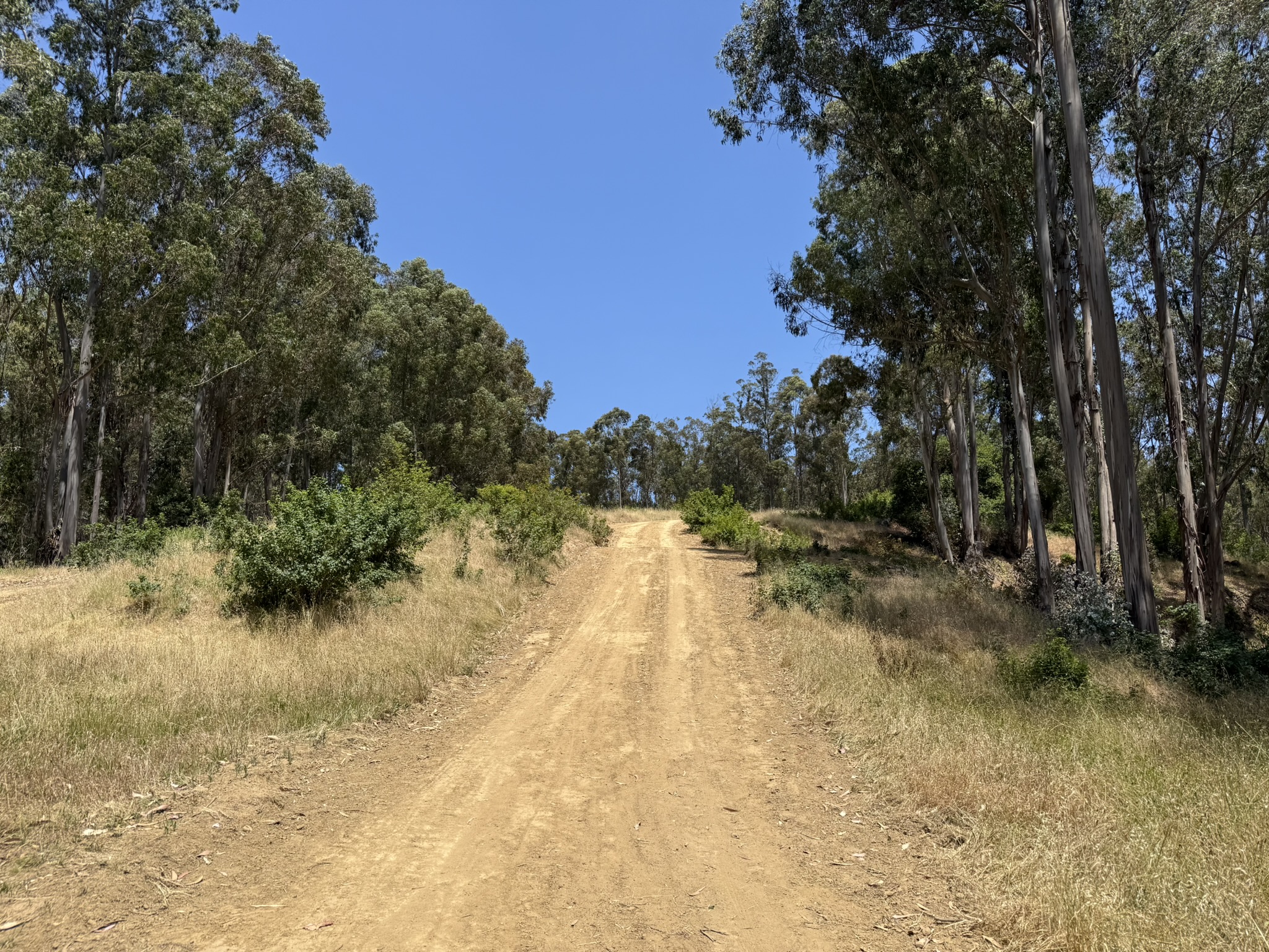 Anthony Chabot Regional Park East