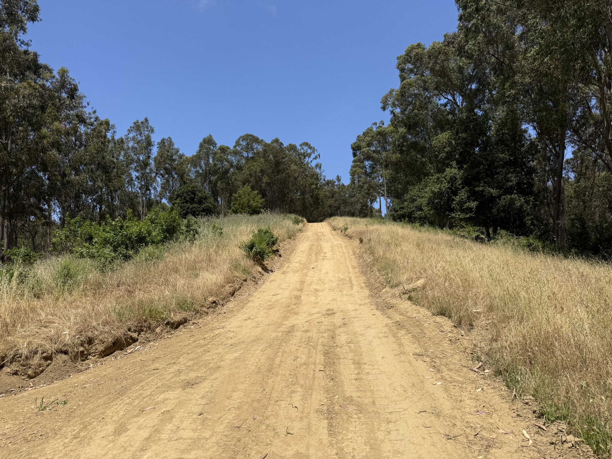 Anthony Chabot Regional Park East