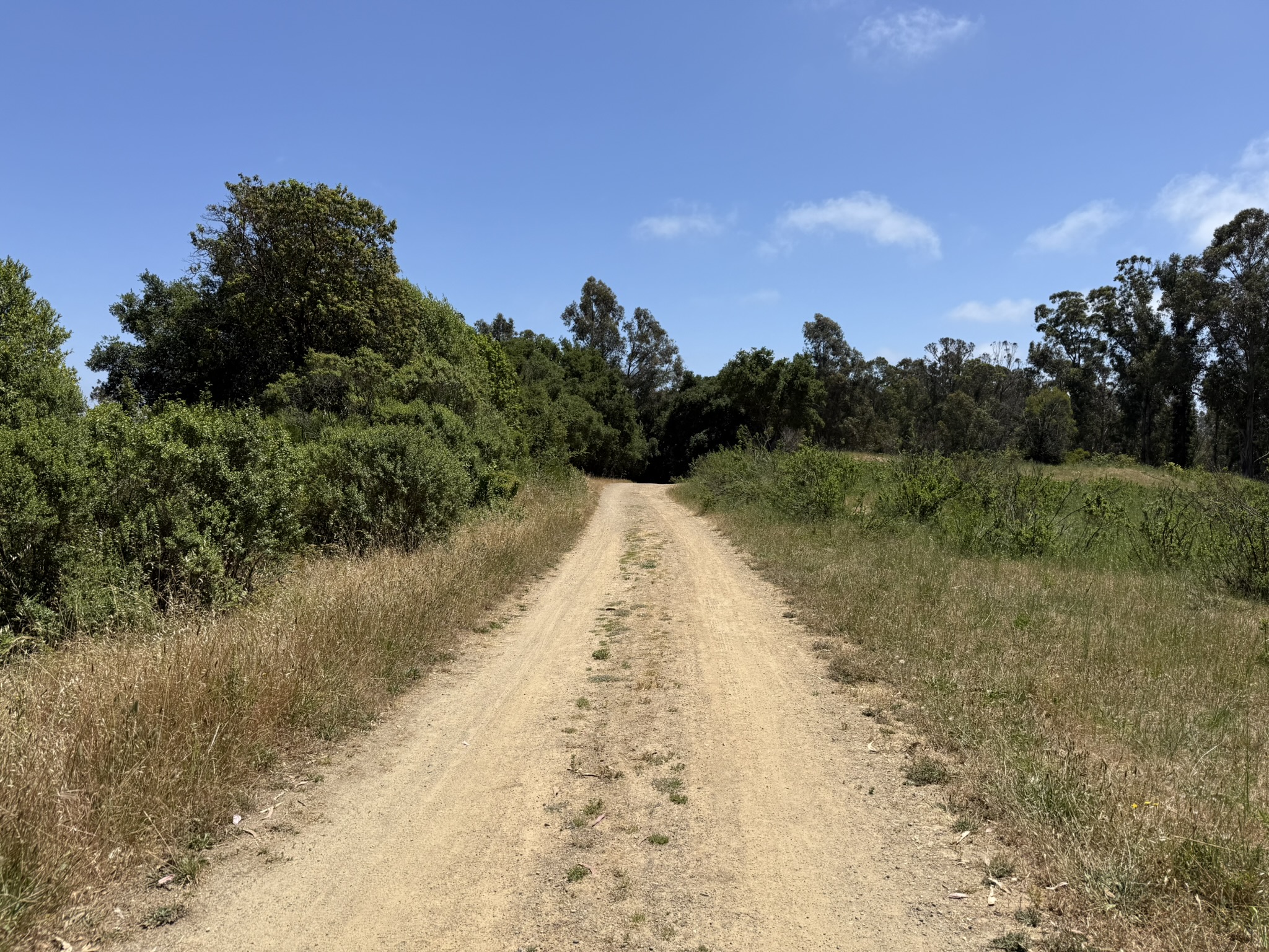 Anthony Chabot Regional Park East
