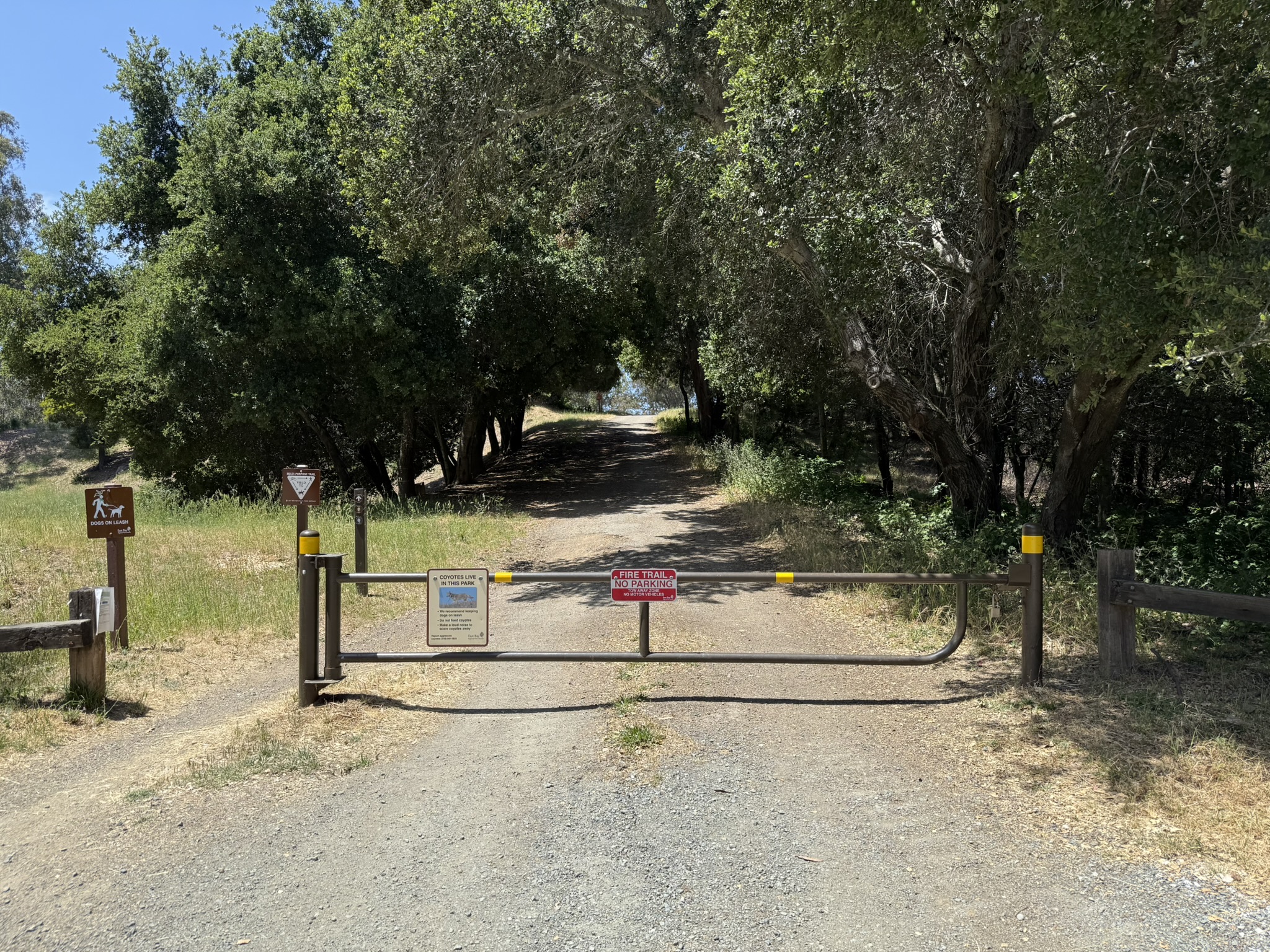 Anthony Chabot Regional Park East