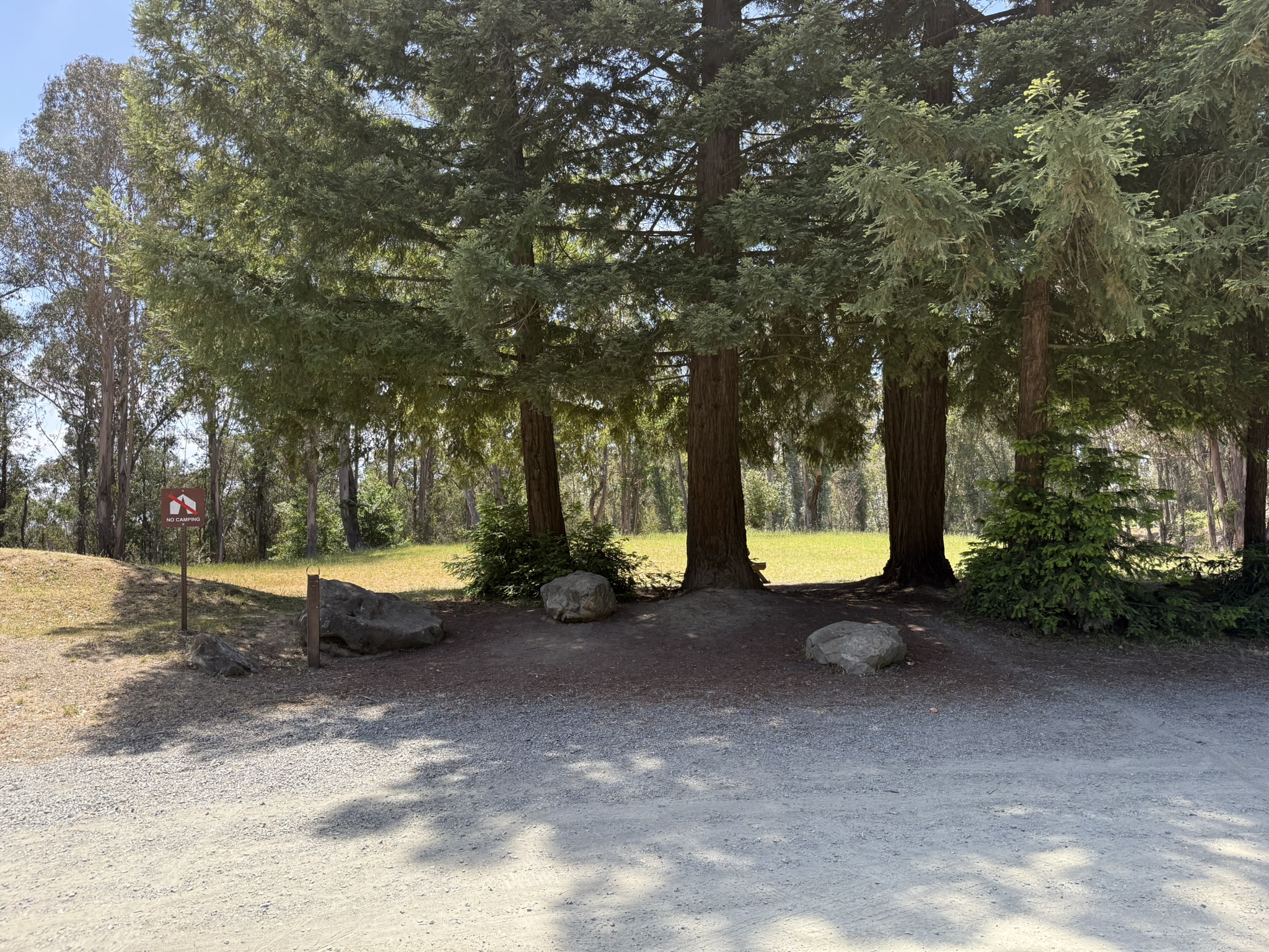 Anthony Chabot Regional Park East