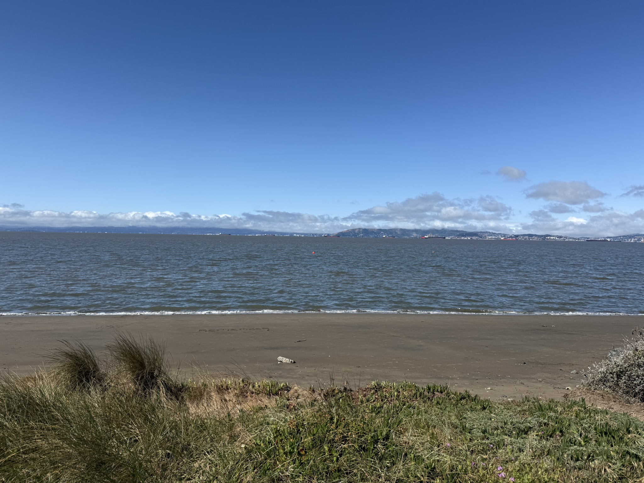 Robert W. Crown Memorial State Beach