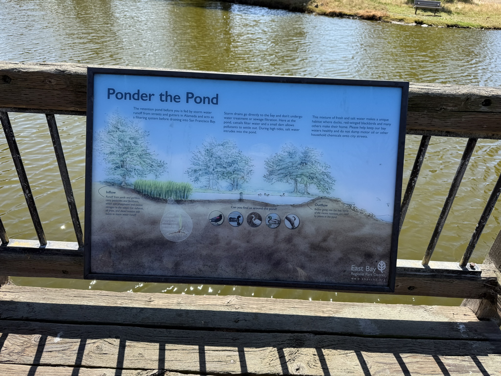 Robert W. Crown Memorial State Beach