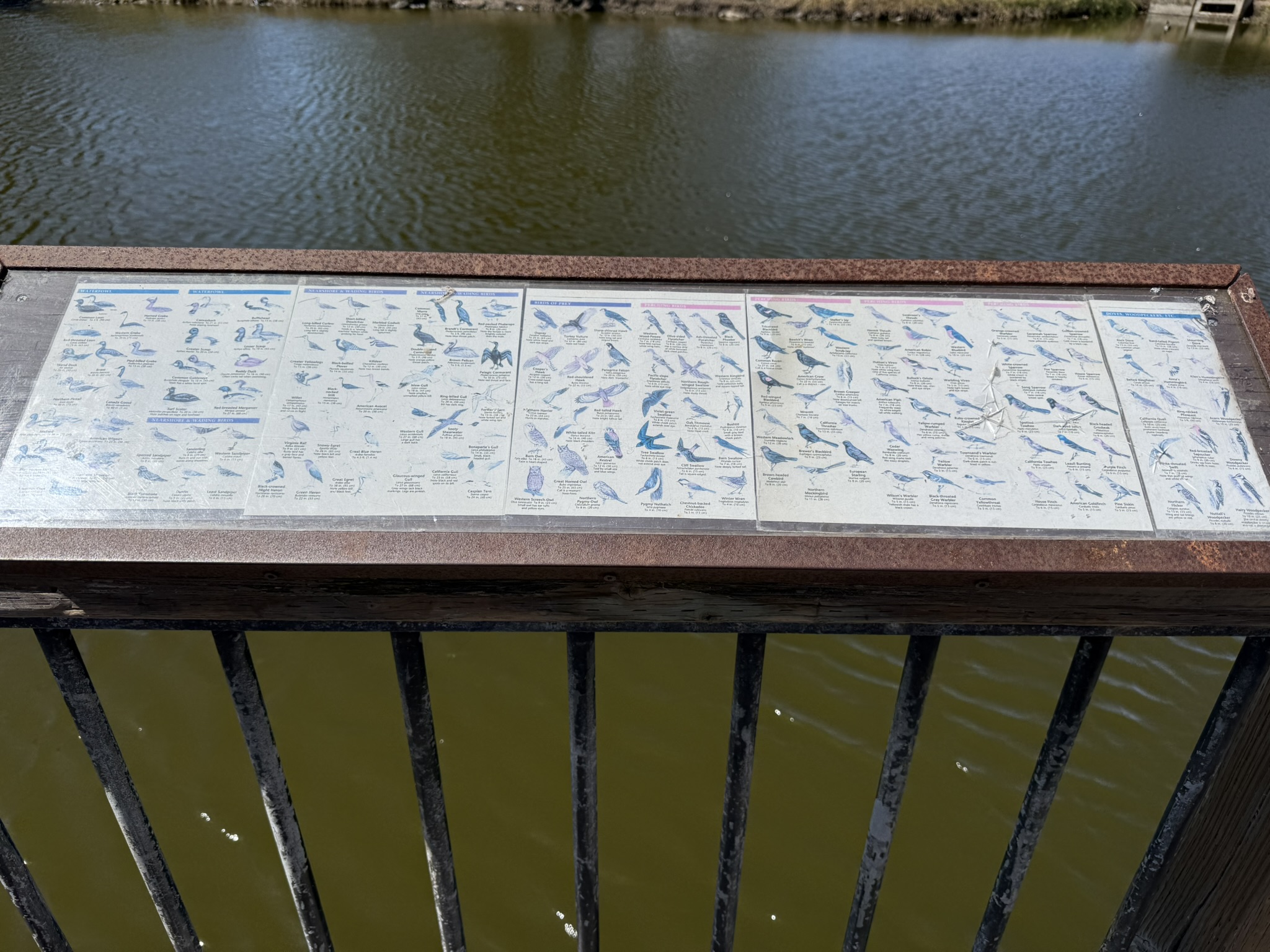 Robert W. Crown Memorial State Beach