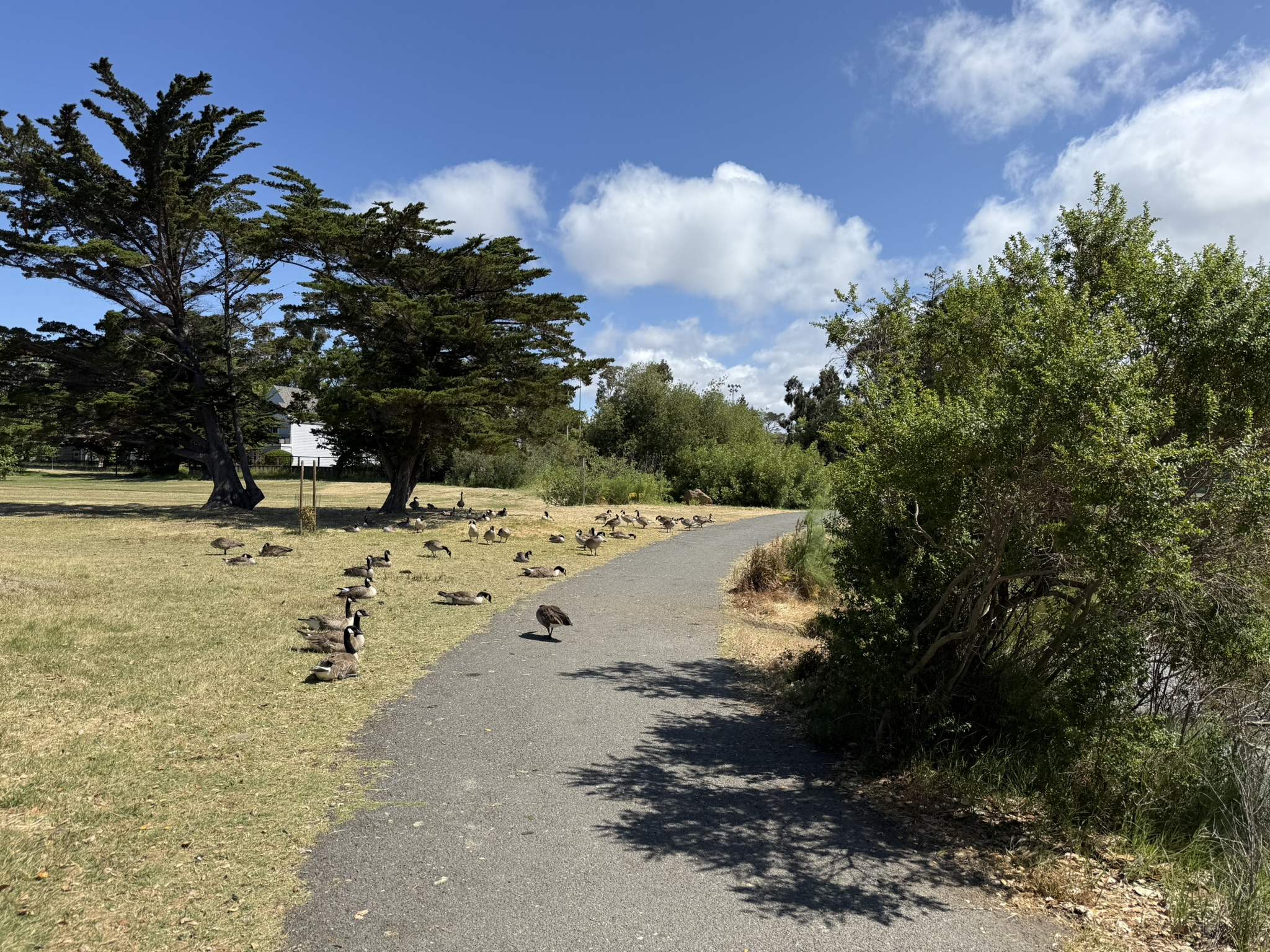 Robert W. Crown Memorial State Beach