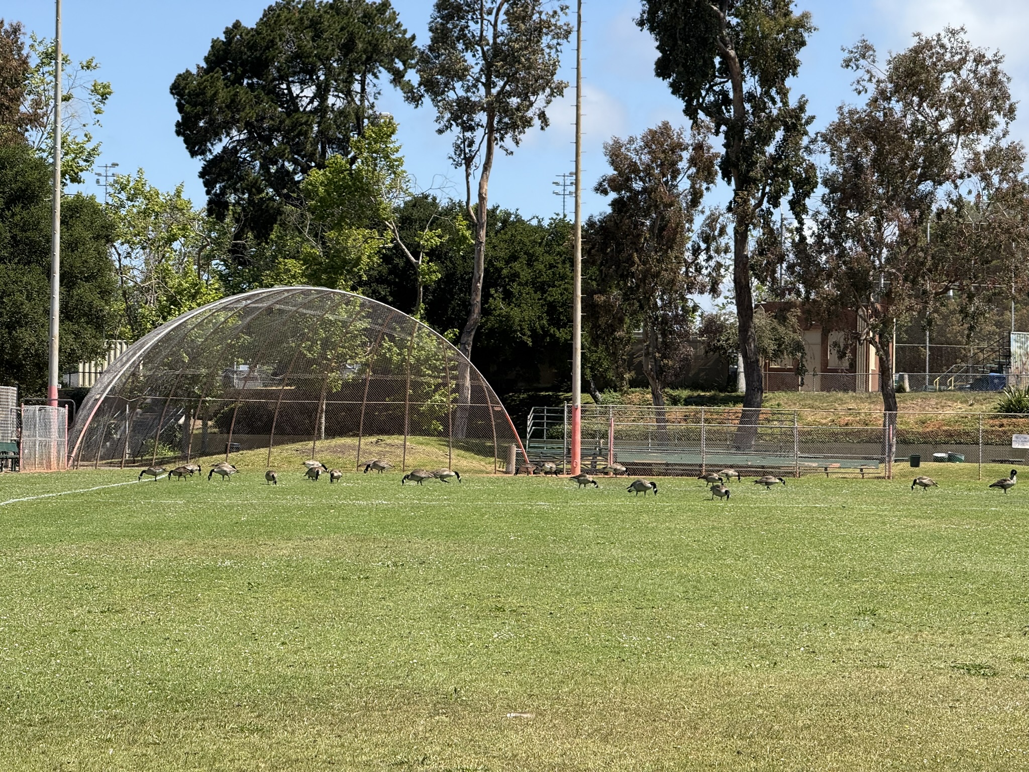 Robert W. Crown Memorial State Beach