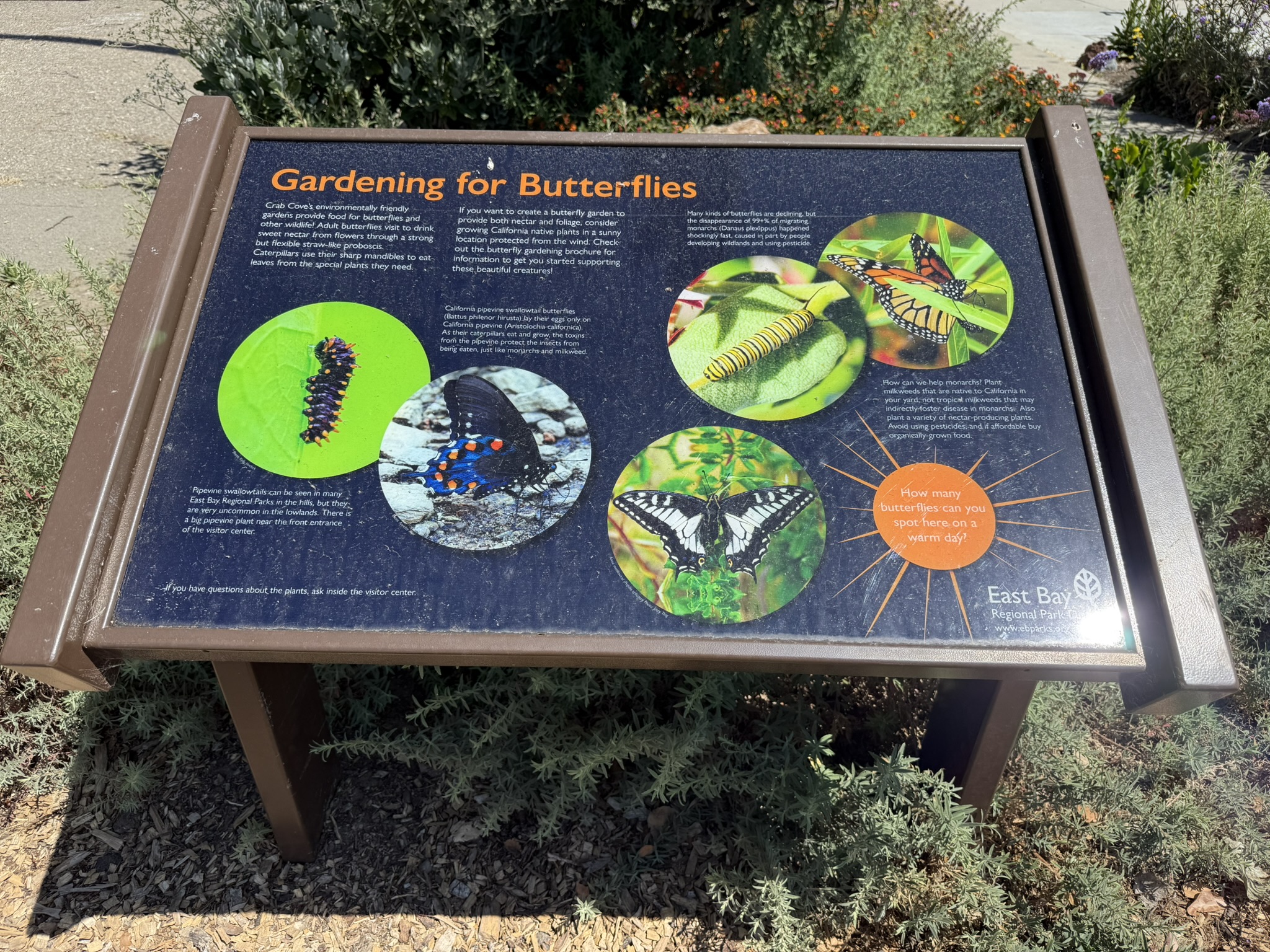 Robert W. Crown Memorial State Beach