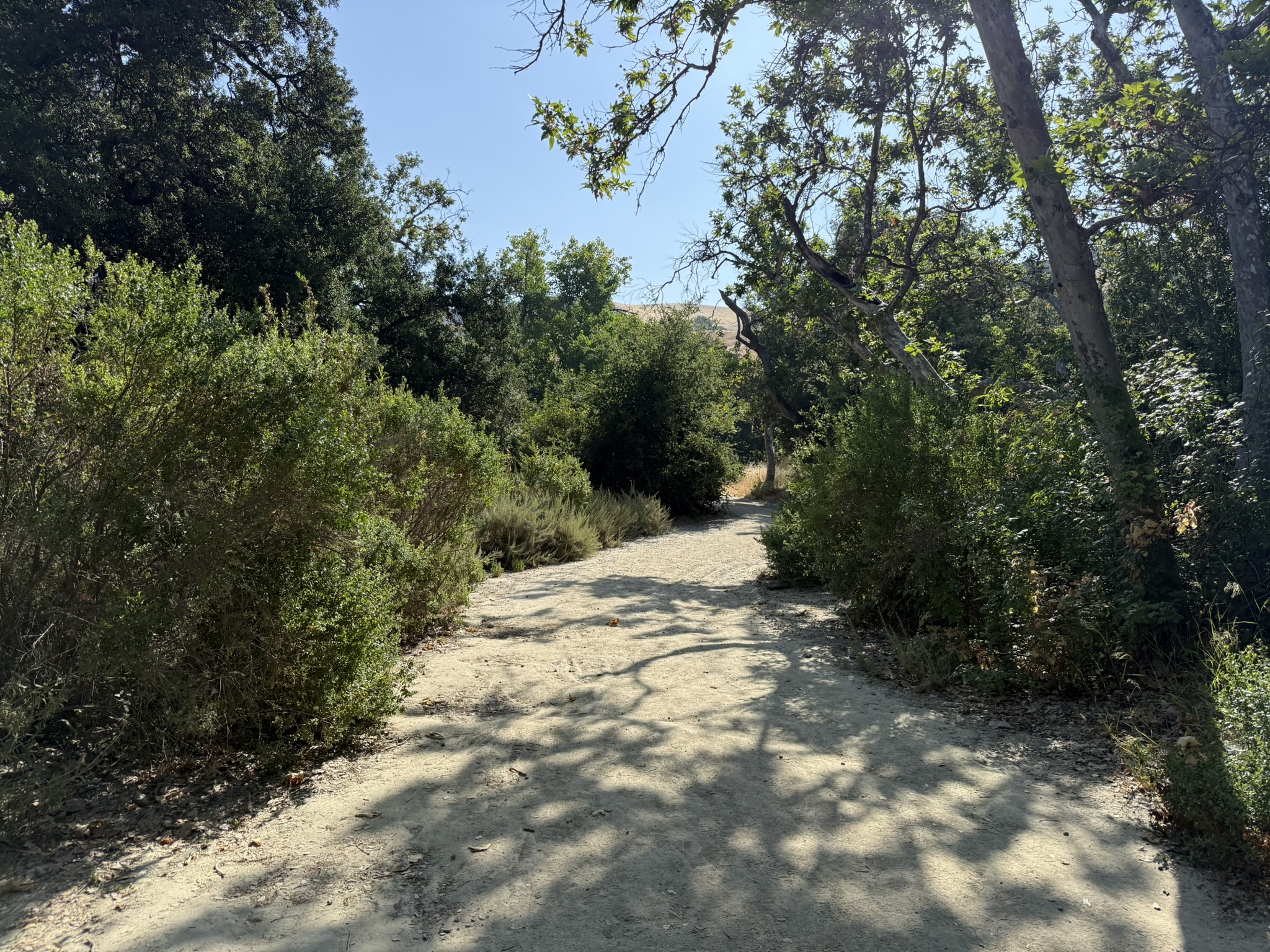 Del Valle Regional Park North