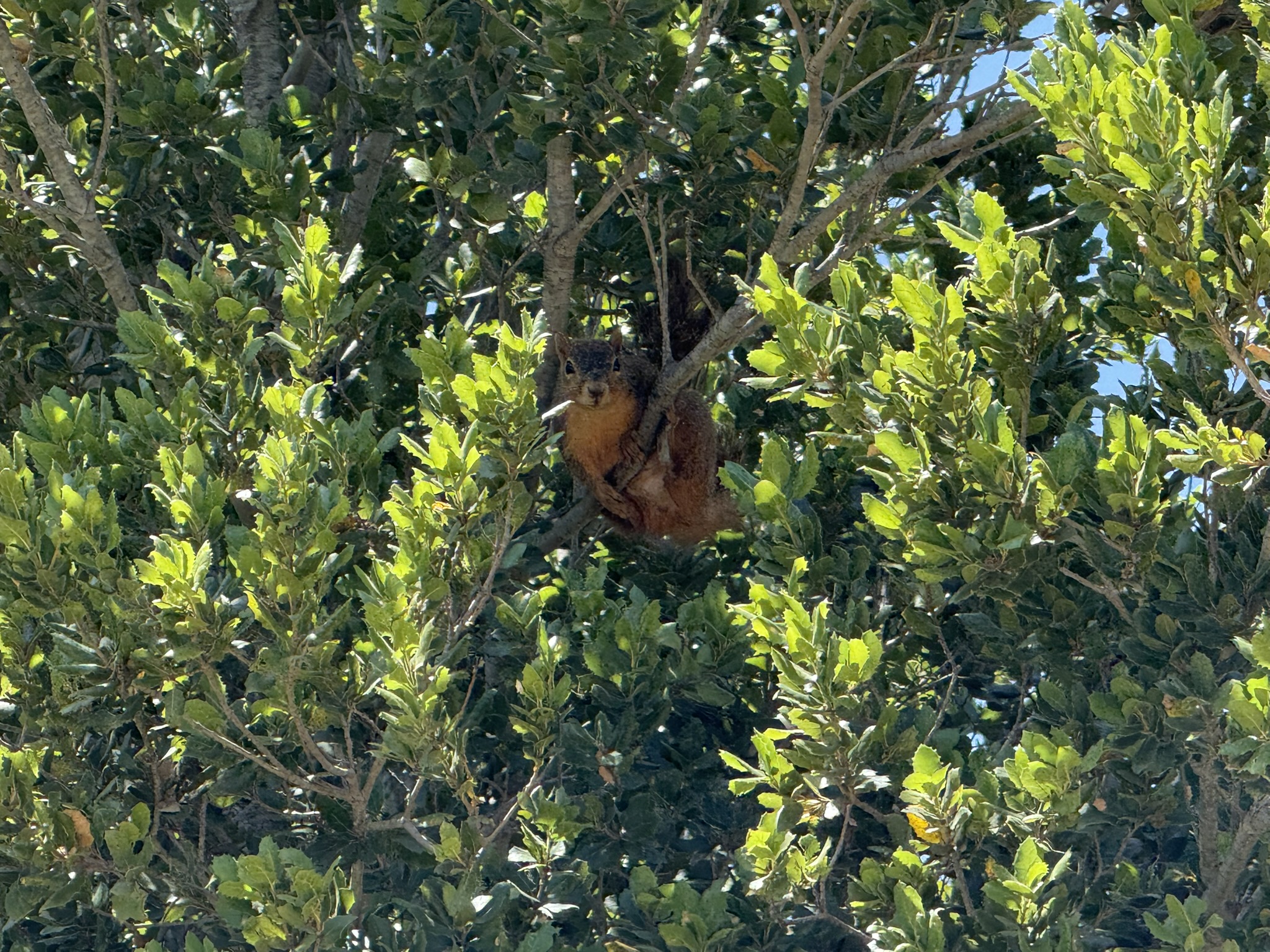 Del Valle Regional Park North