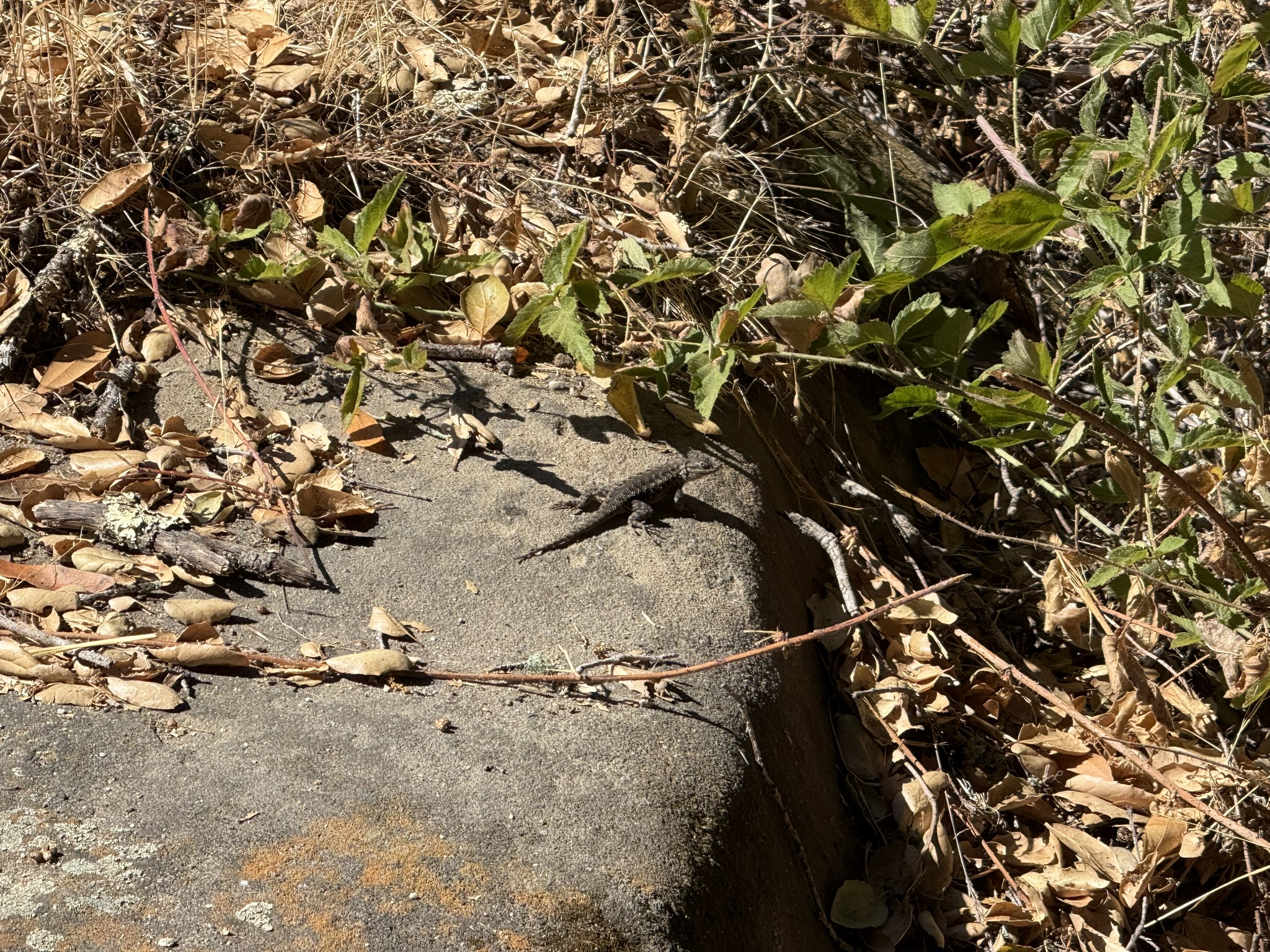 Chitactac-Adams Heritage County Park