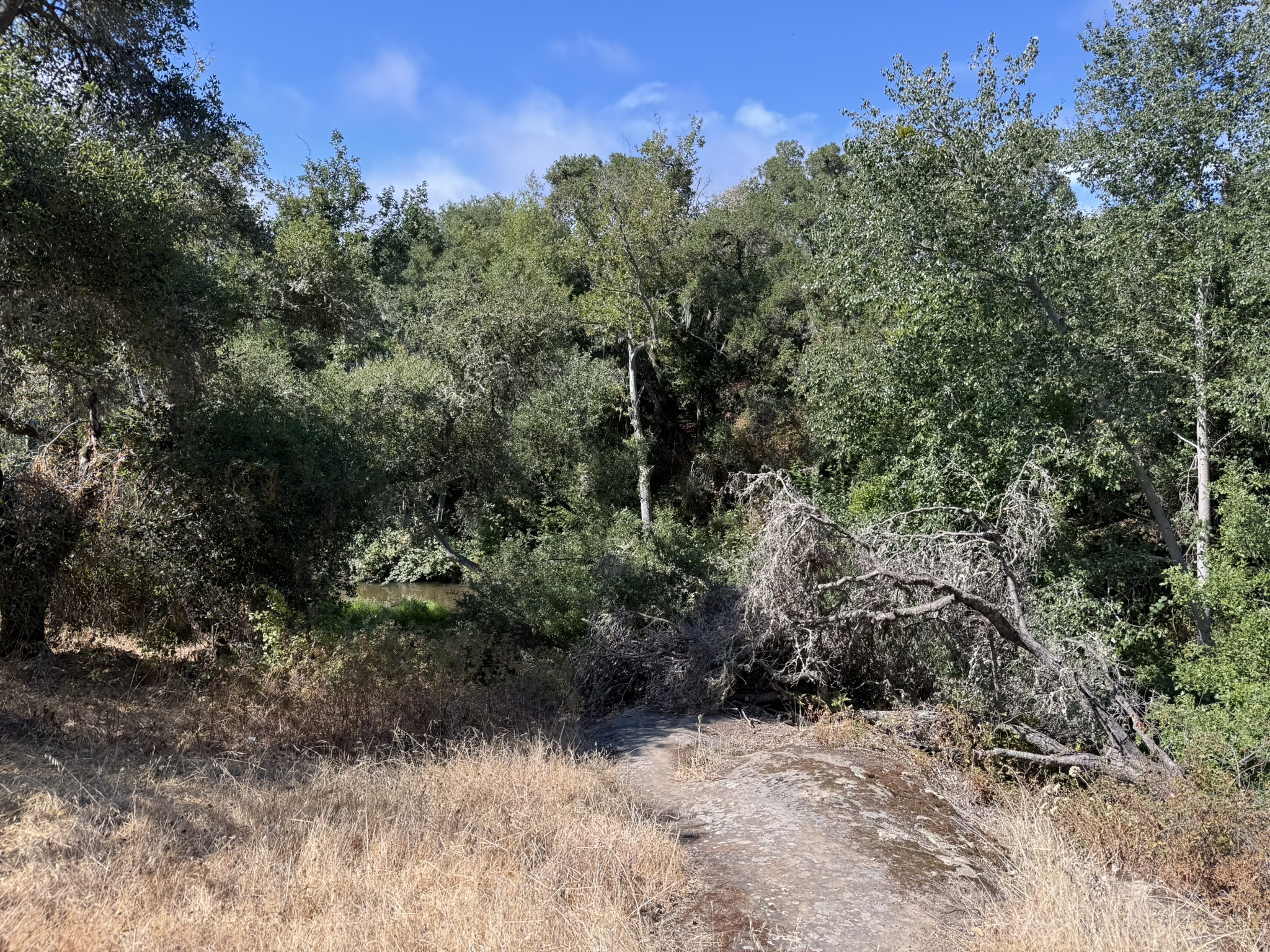 Chitactac-Adams Heritage County Park