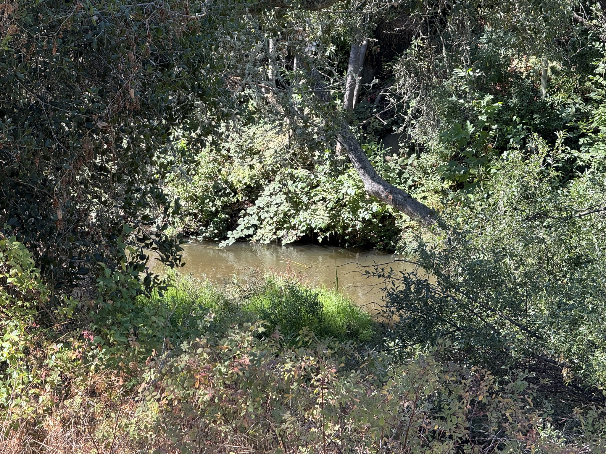 Chitactac-Adams Heritage County Park