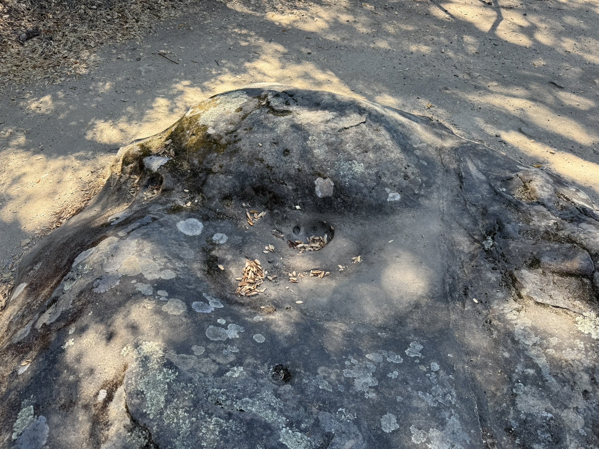 Chitactac-Adams Heritage County Park