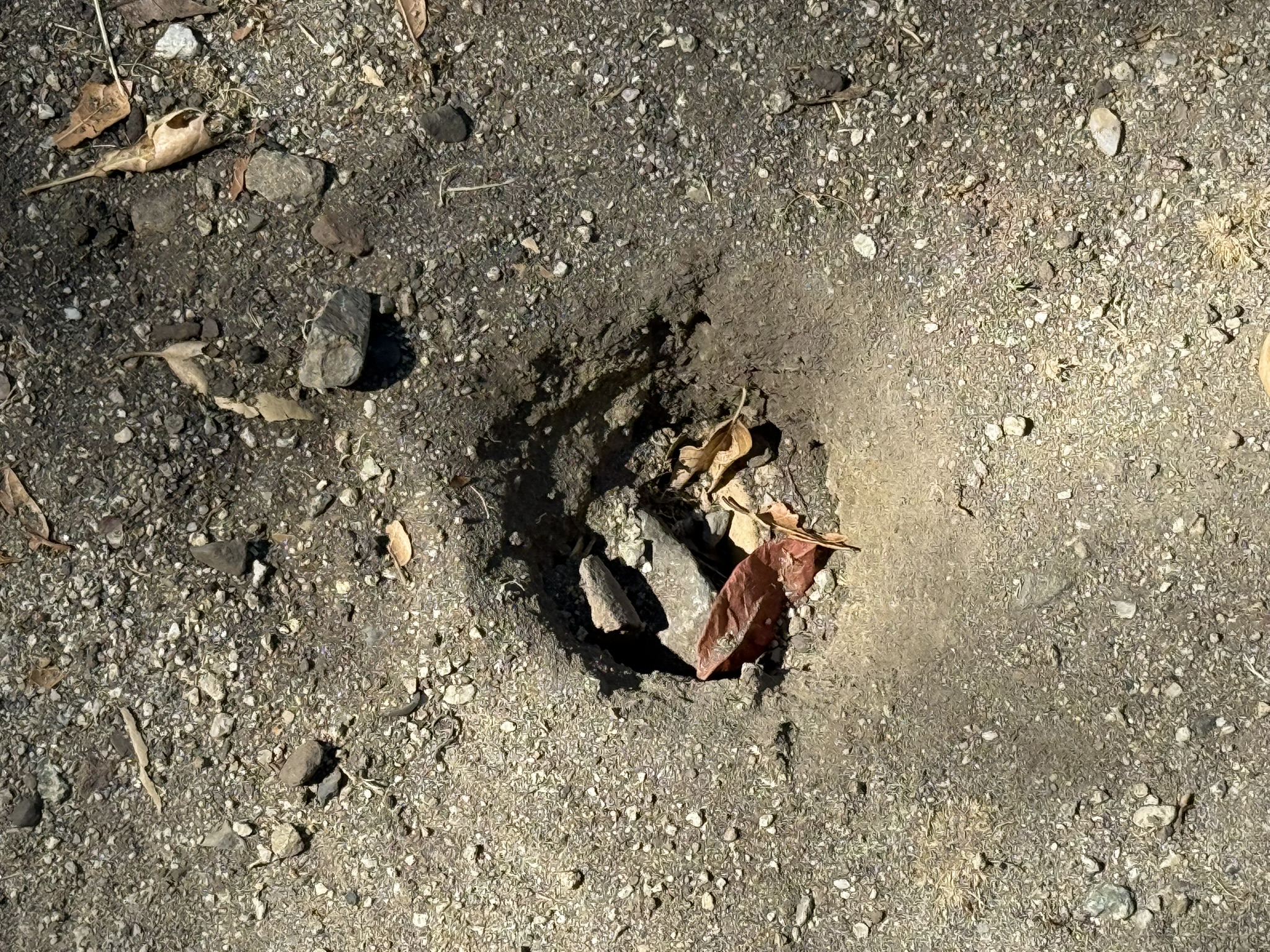 Chitactac-Adams Heritage County Park