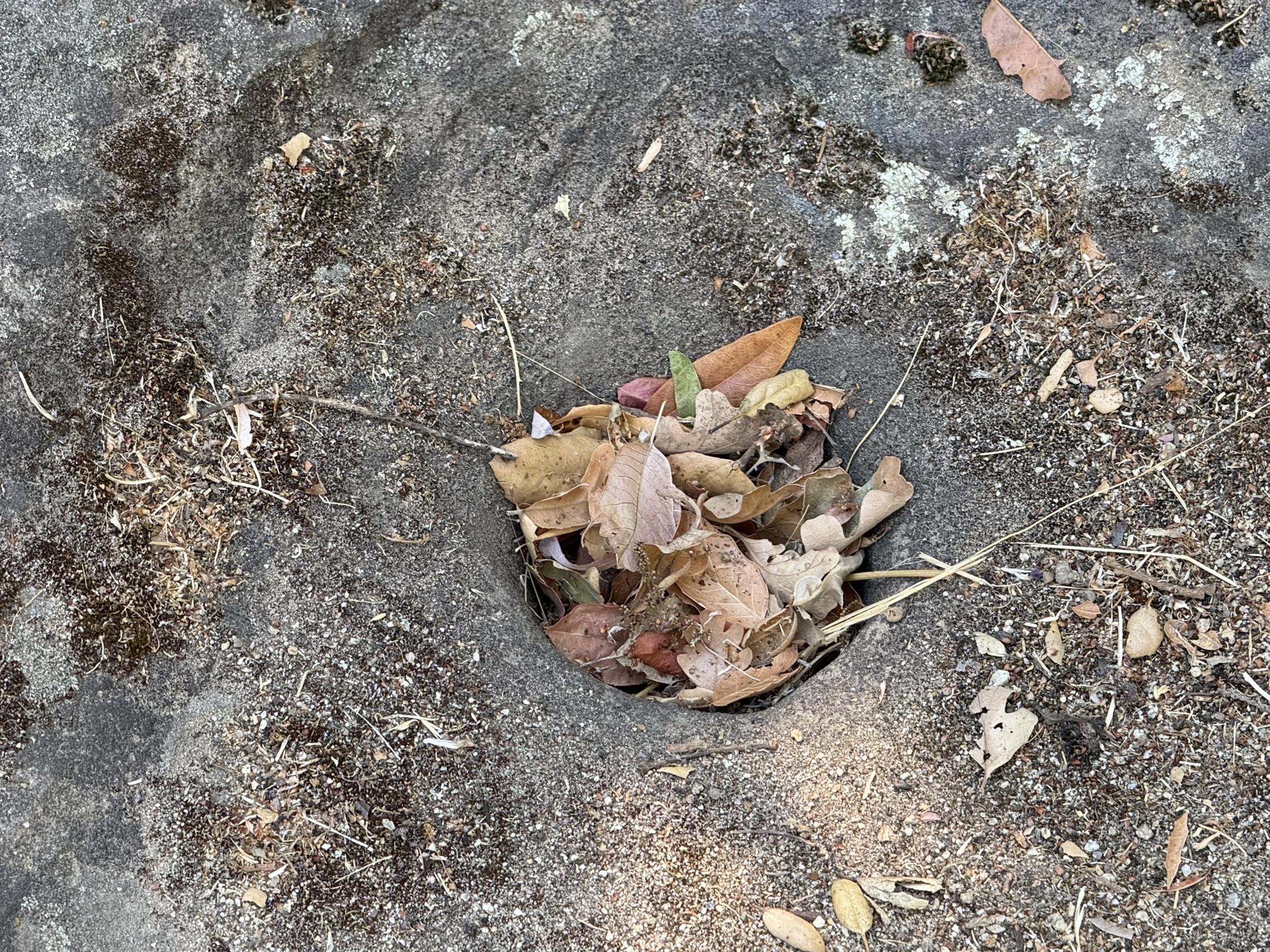 Chitactac-Adams Heritage County Park