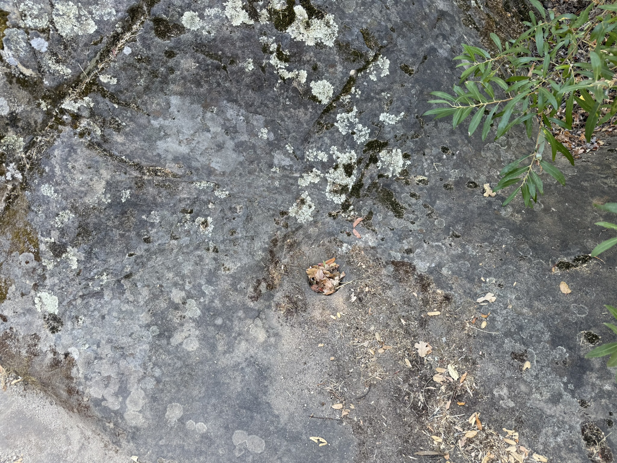 Chitactac-Adams Heritage County Park