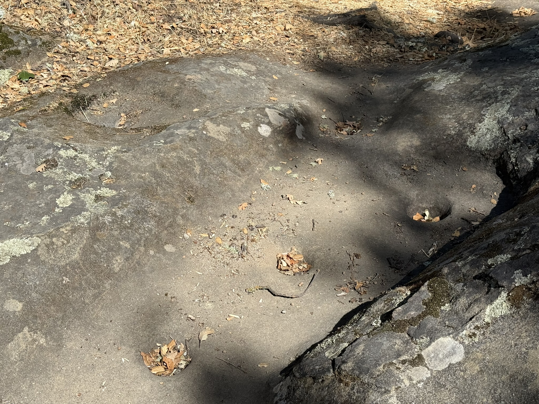 Chitactac-Adams Heritage County Park