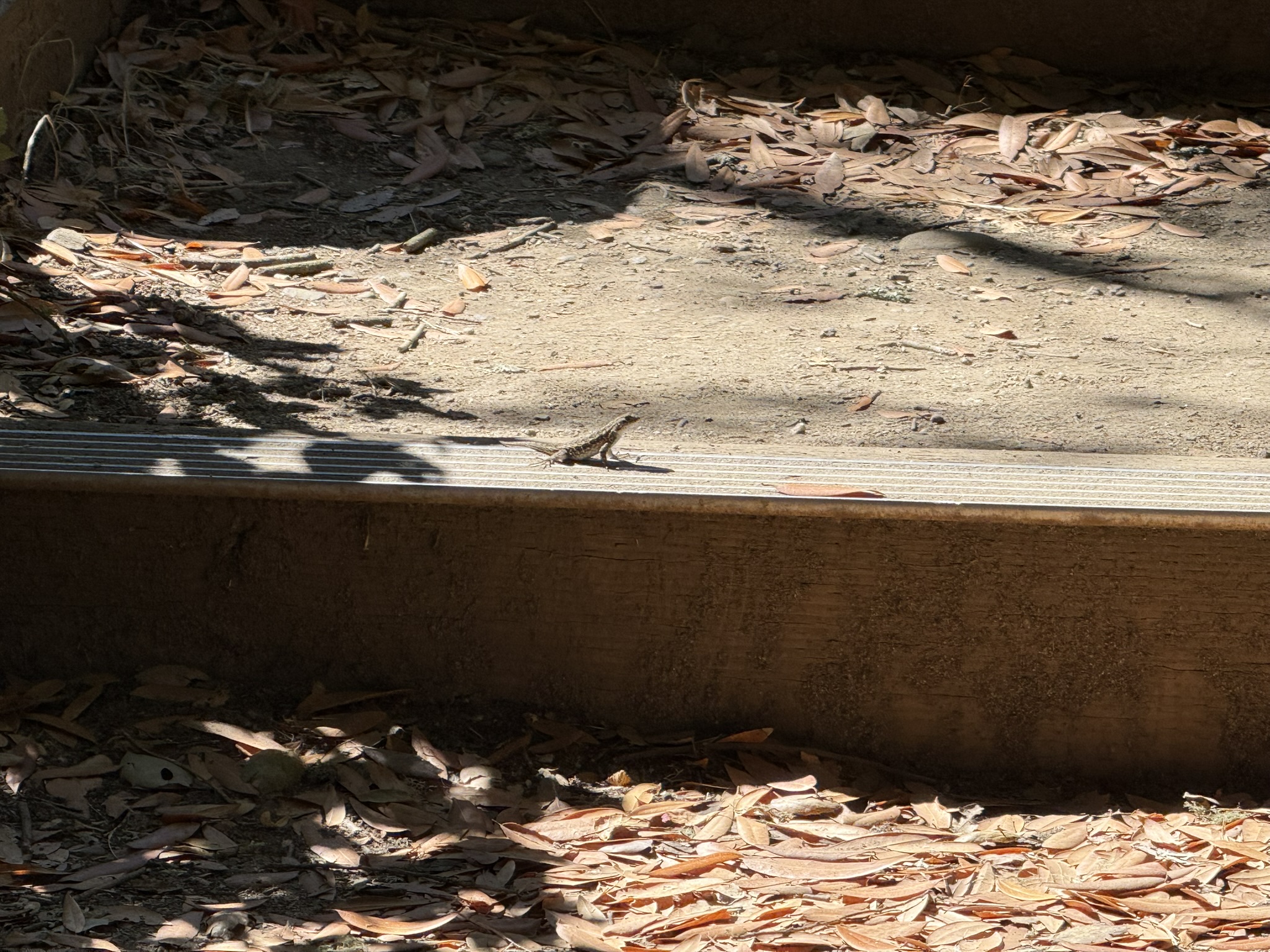 Chitactac-Adams Heritage County Park