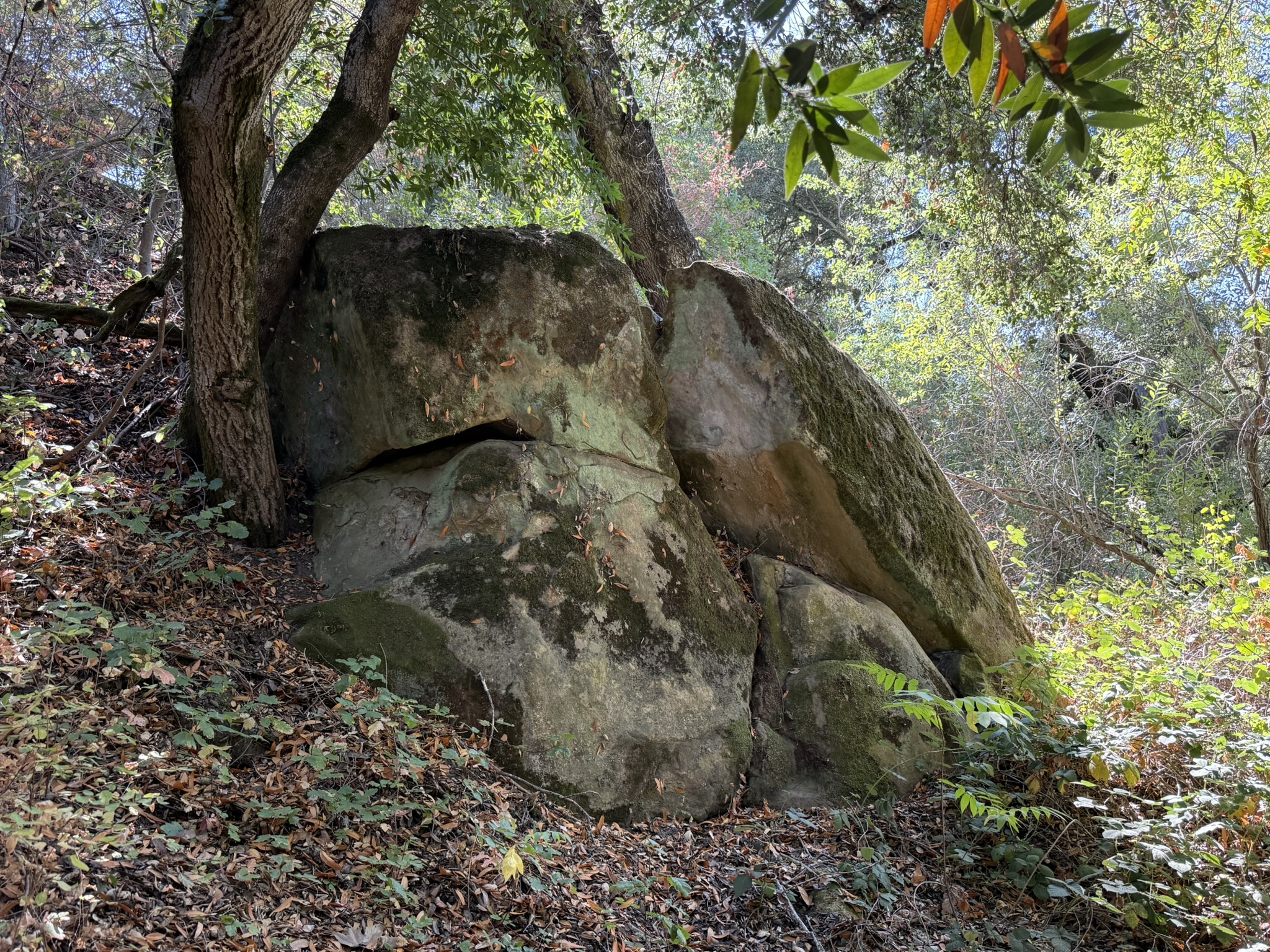 Chitactac-Adams Heritage County Park