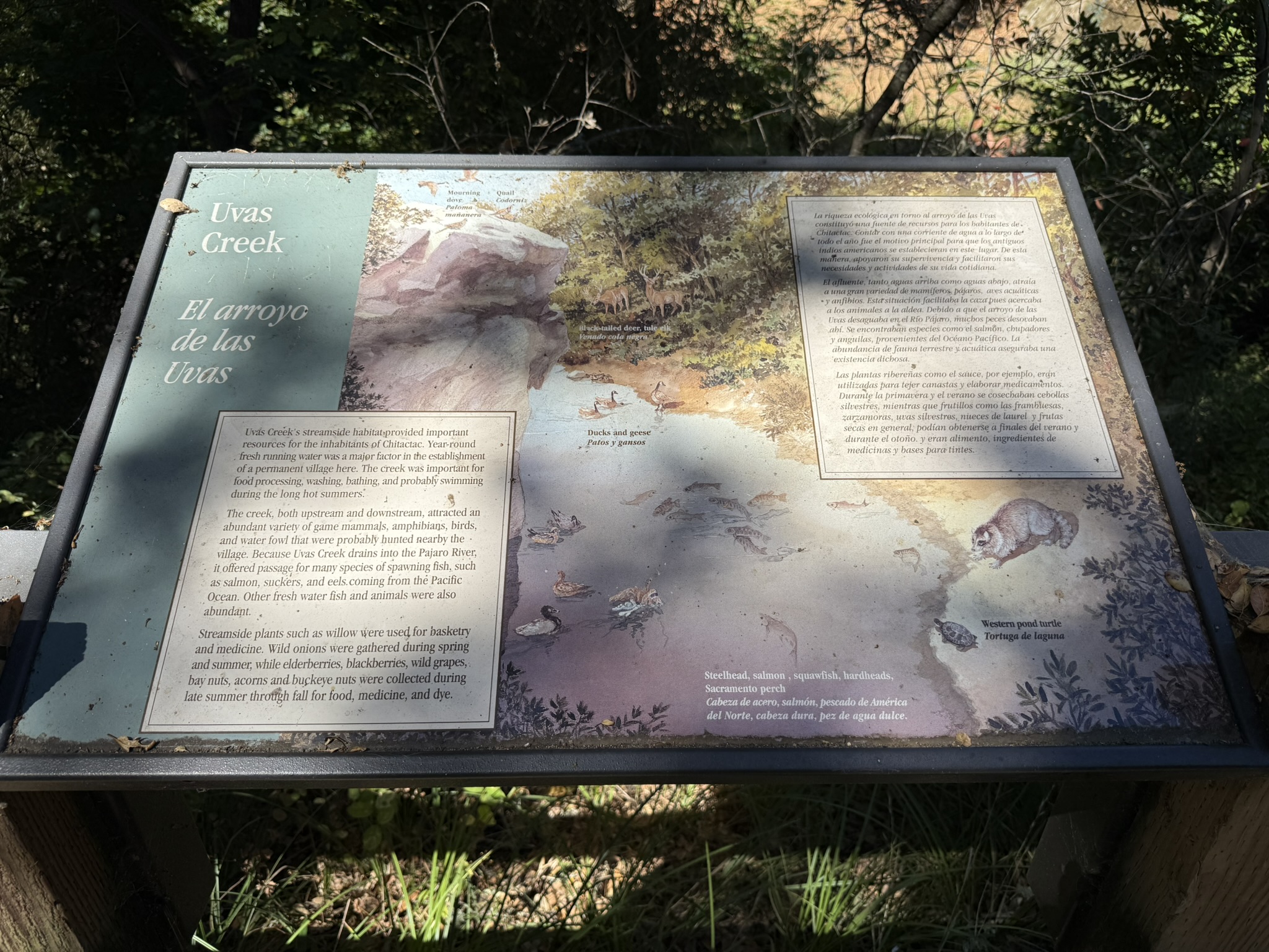 Chitactac-Adams Heritage County Park