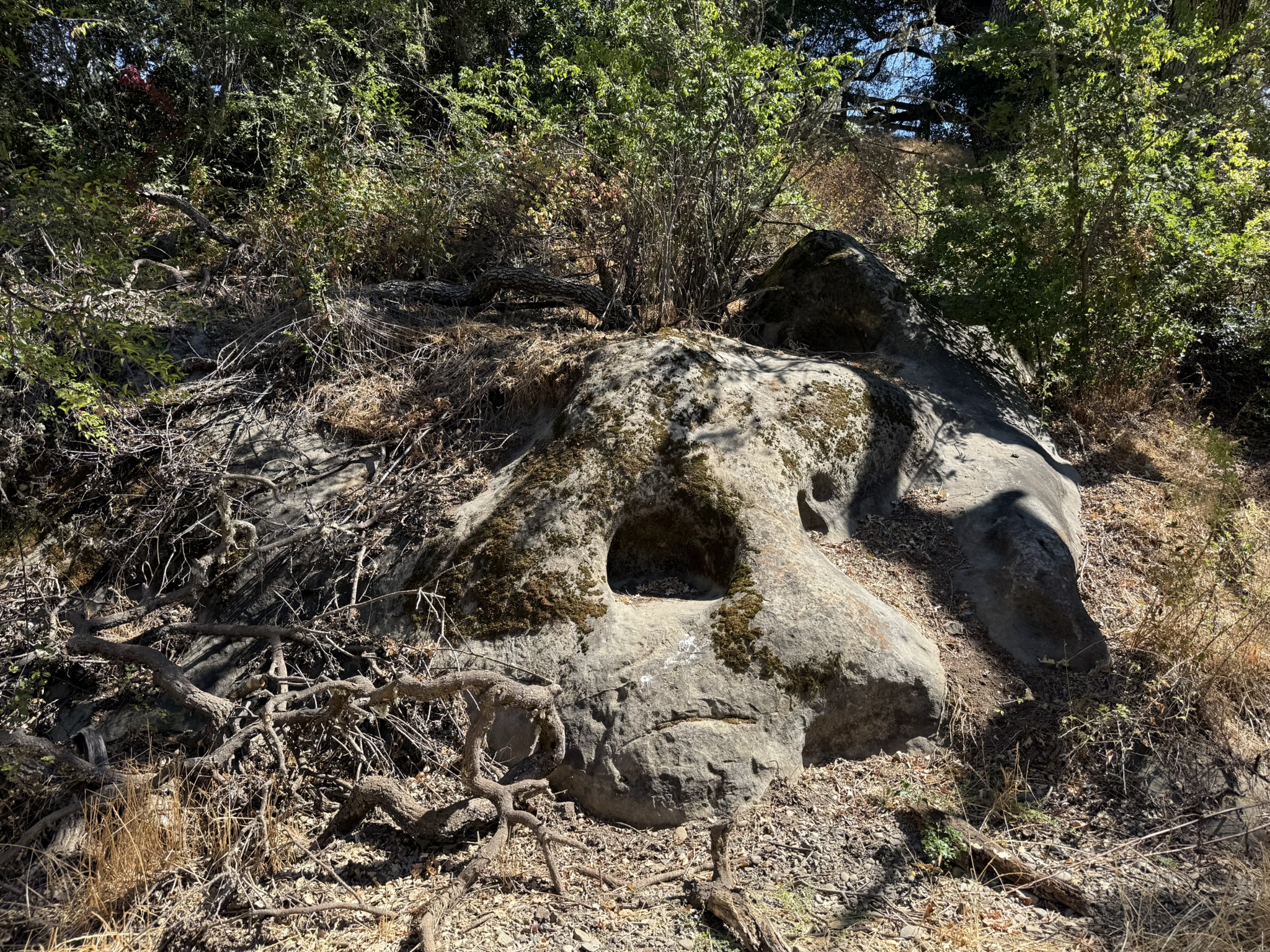 Chitactac-Adams Heritage County Park