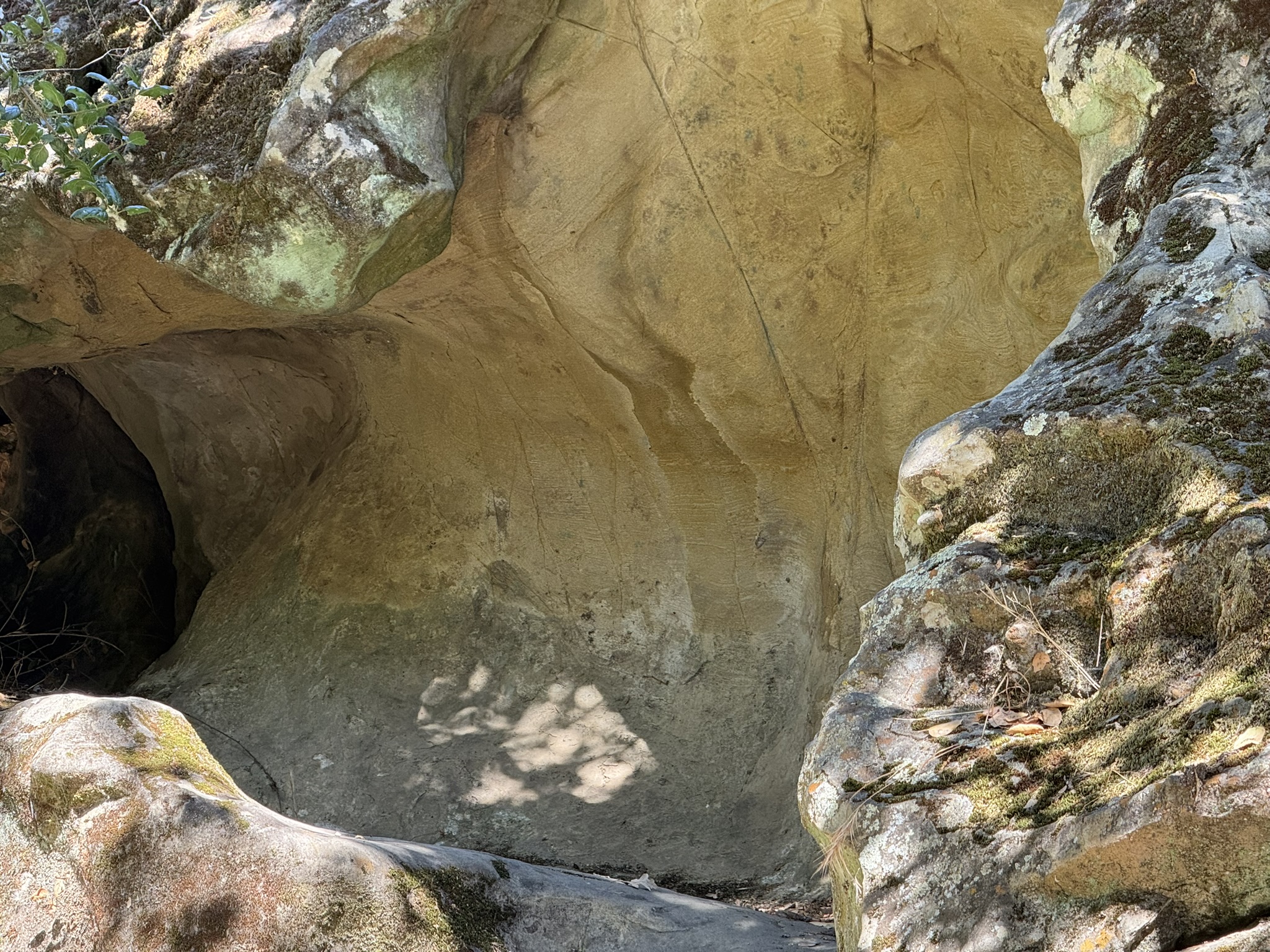 Chitactac-Adams Heritage County Park