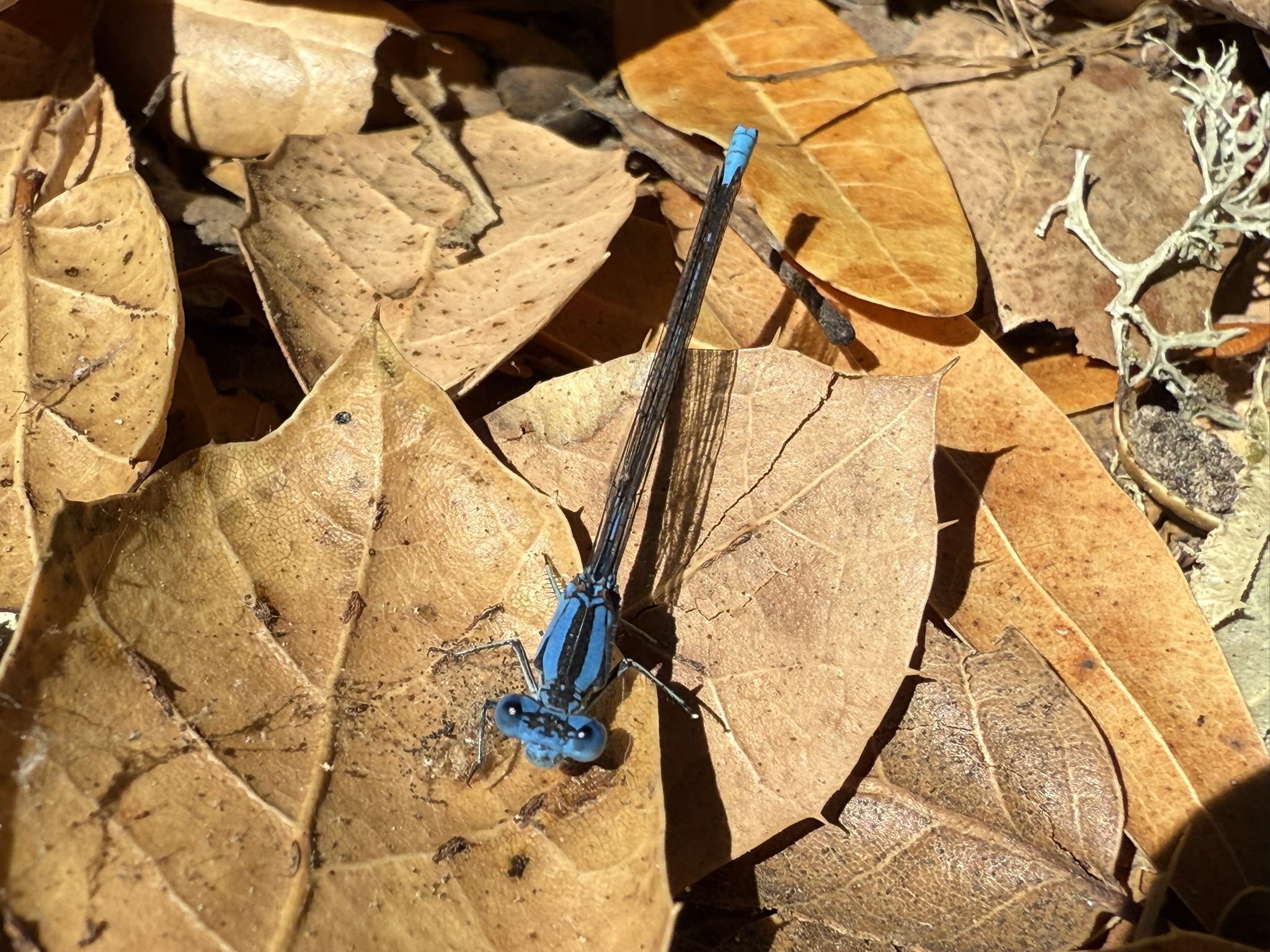 Chitactac-Adams Heritage County Park