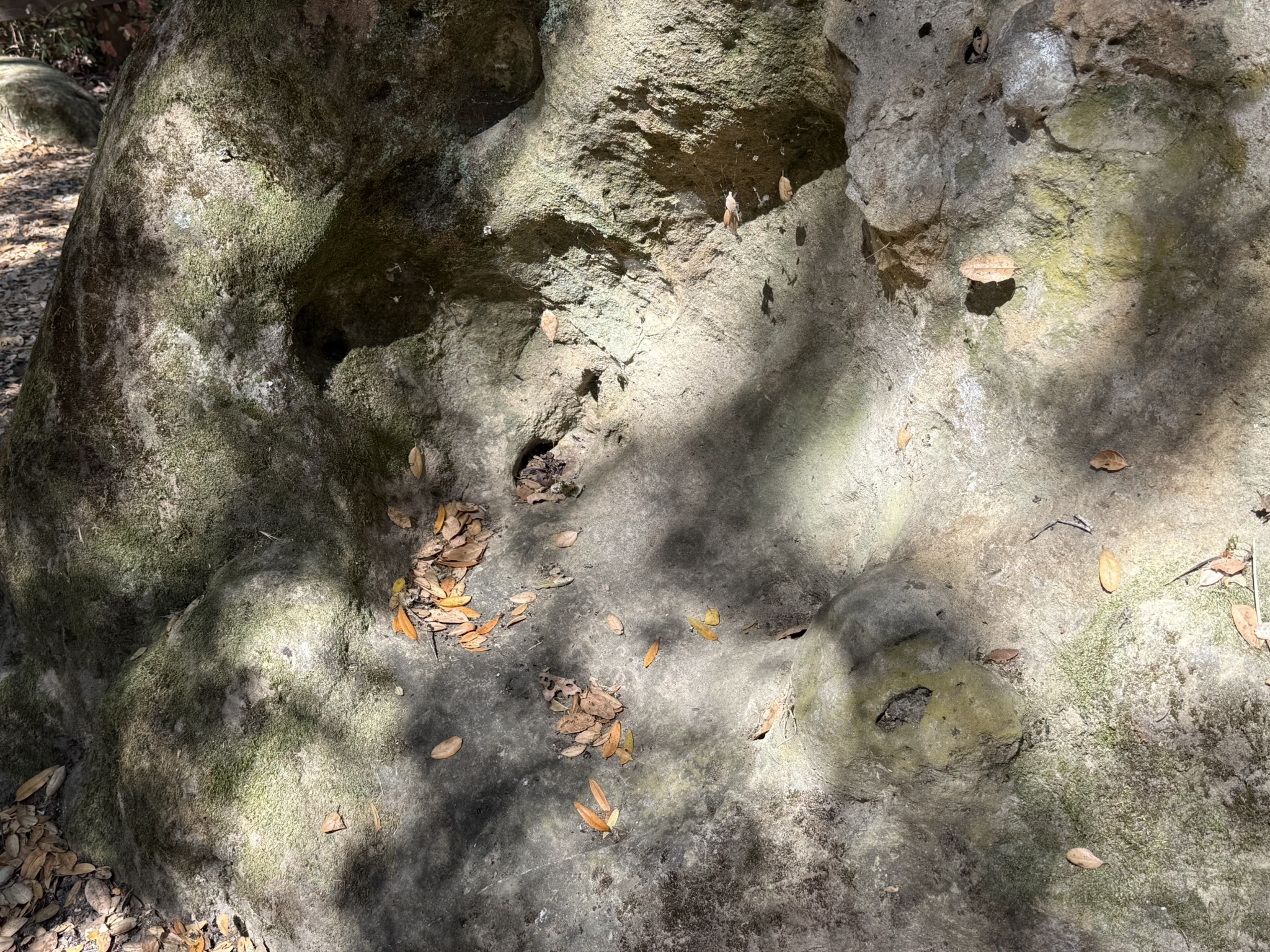 Chitactac-Adams Heritage County Park