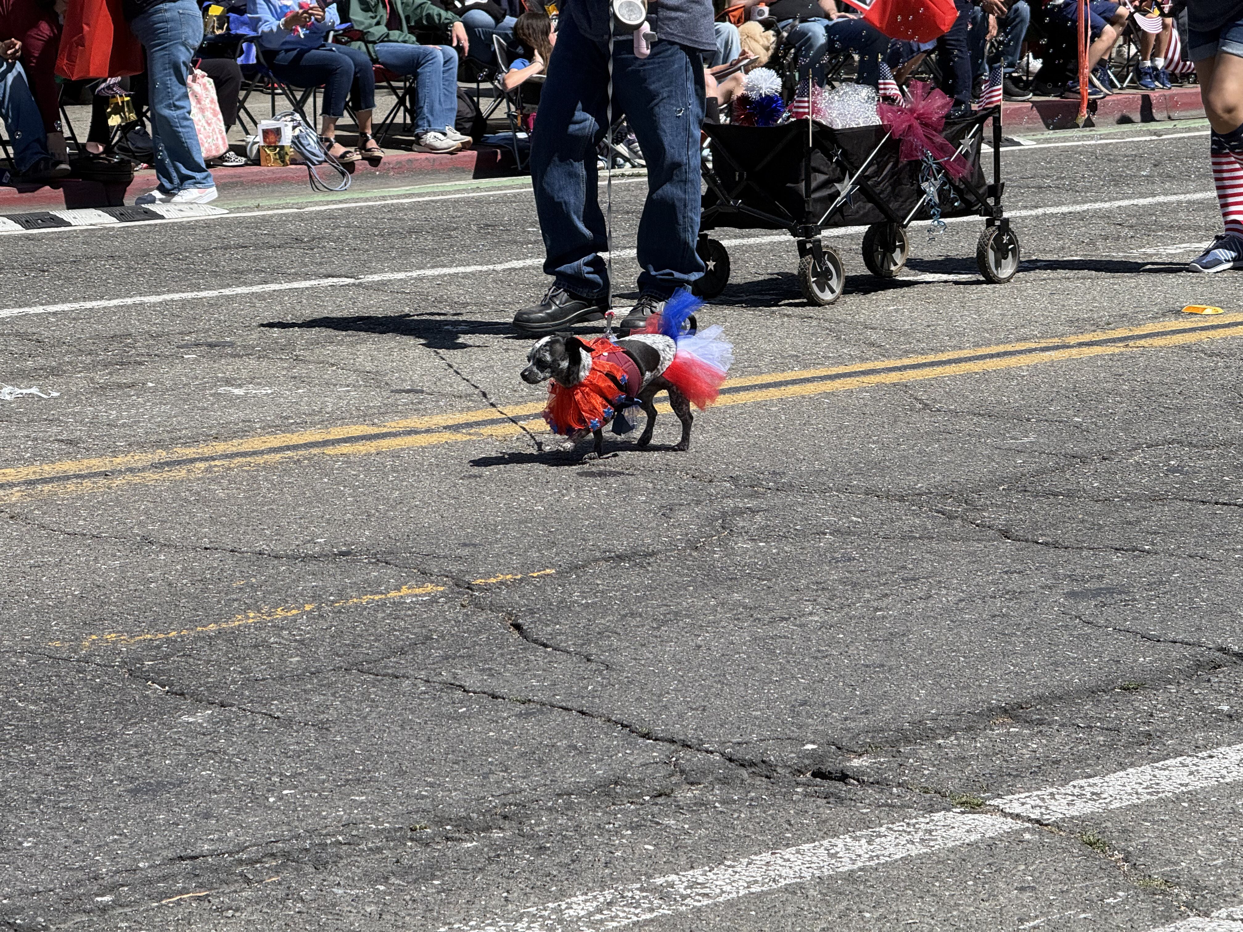 2026 Alameda July 4th Parade