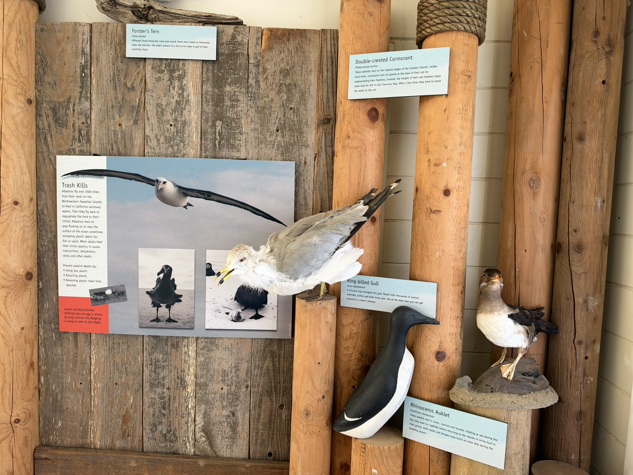Fort Point National Historic Site