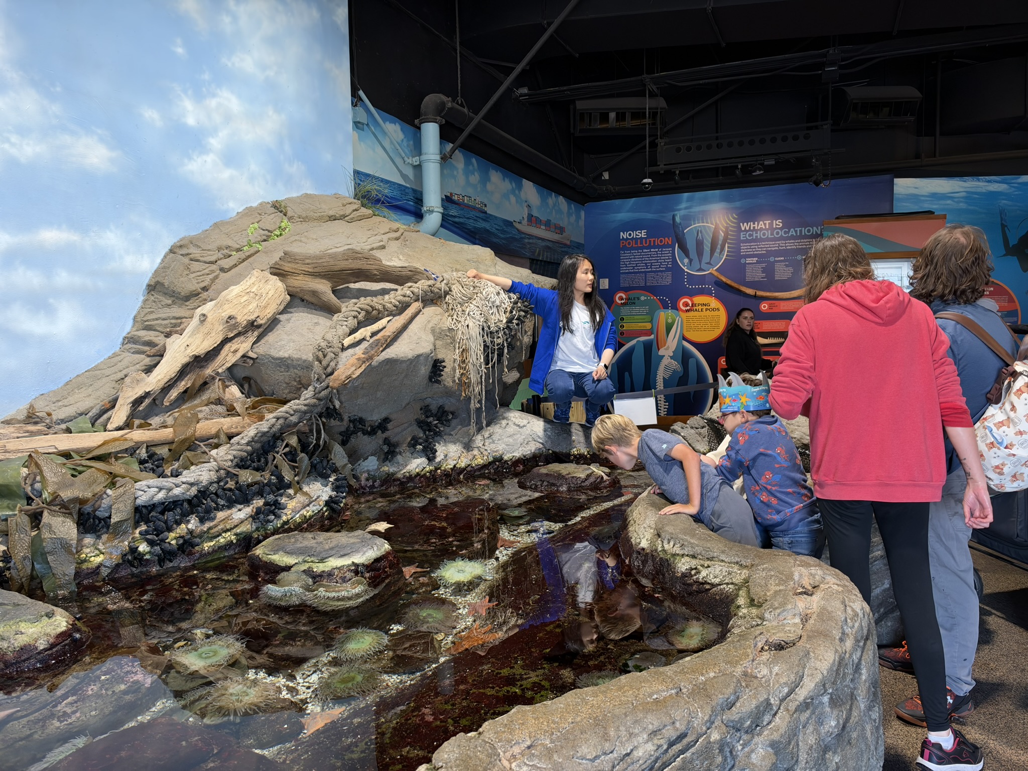 Aquarium of The Bay
